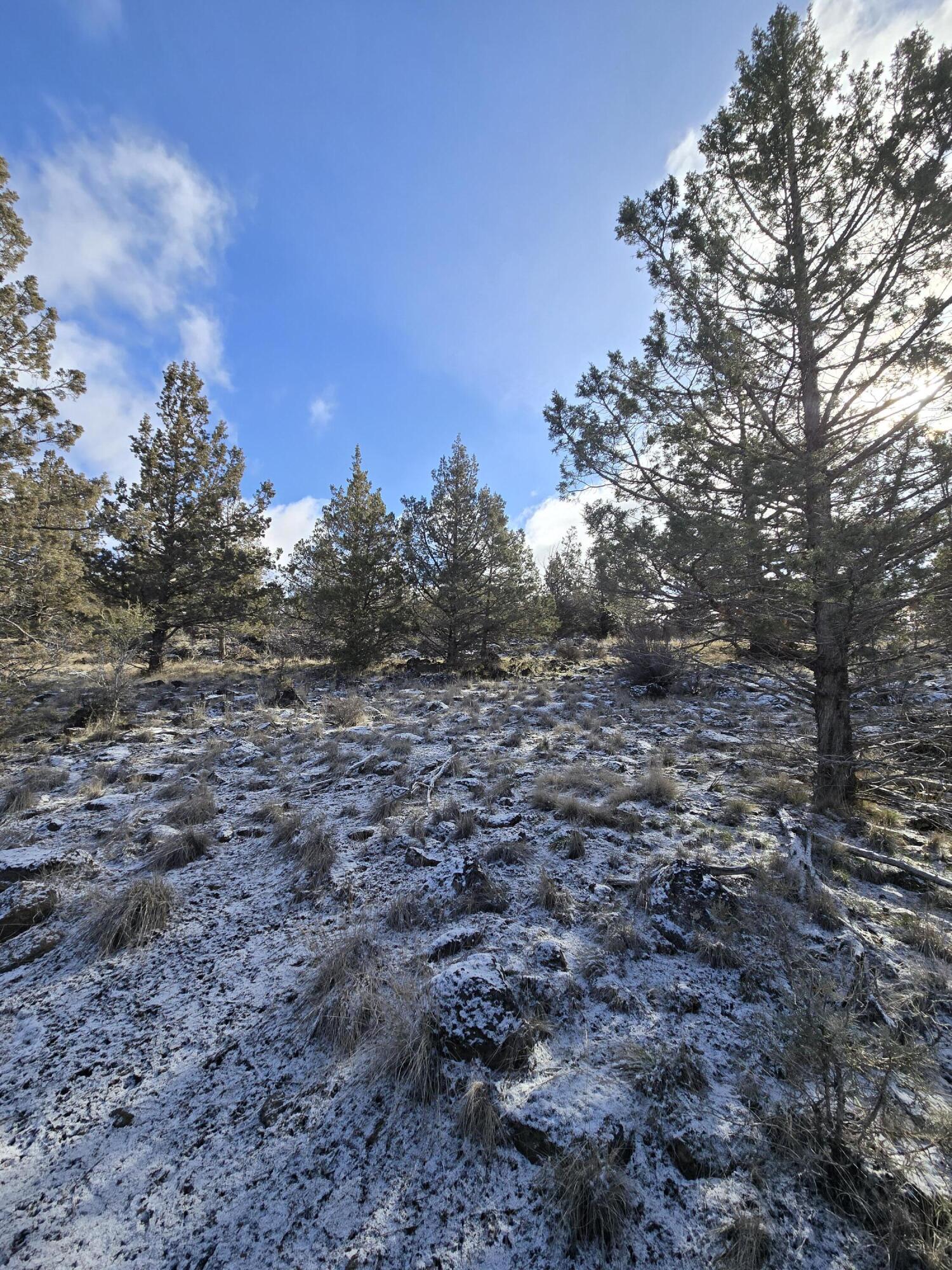 Klamath Falls Forest Estates -Hwy 66 Unit -Plat No. 2 - Land