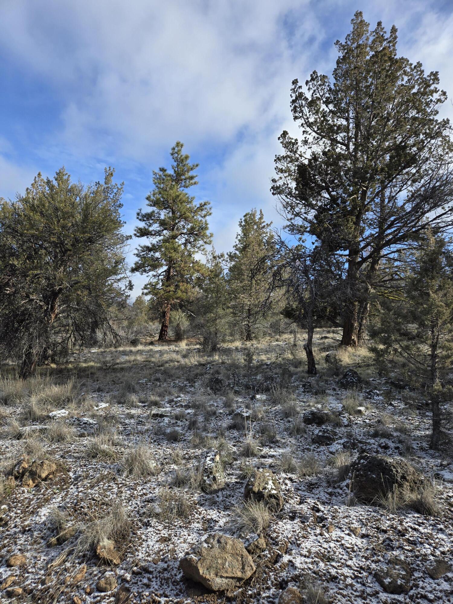 Klamath Falls Forest Estates -Hwy 66 Unit -Plat No. 2 - Land