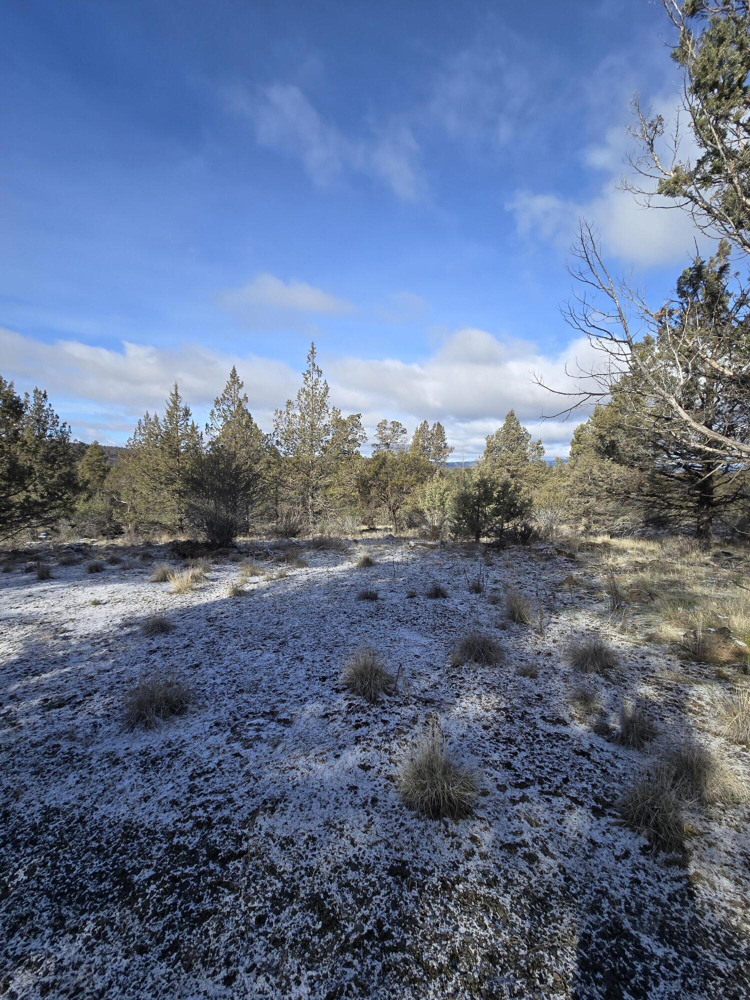 Klamath Falls Forest Estates -Hwy 66 Unit -Plat No. 2 - Land