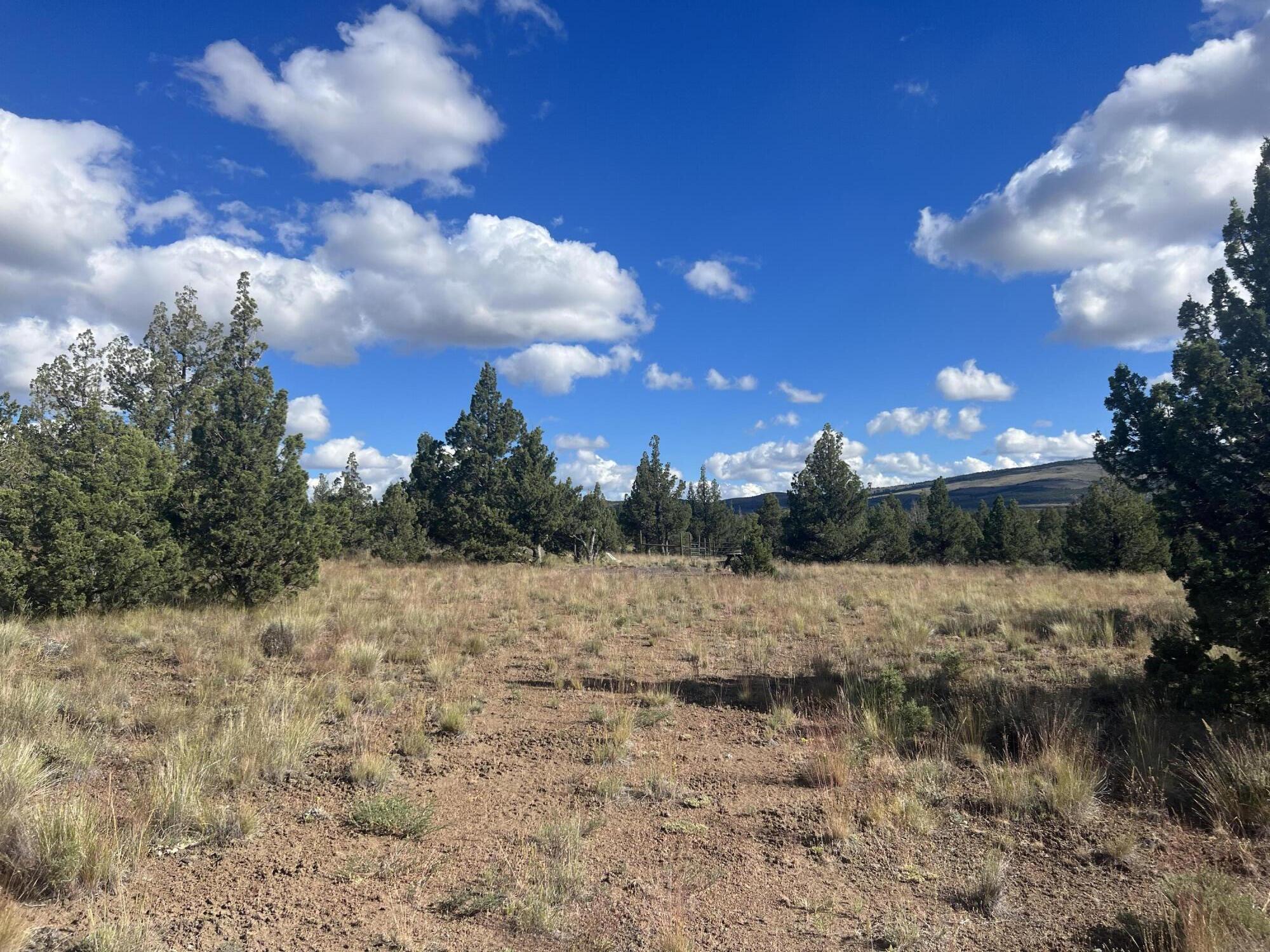 Juniper Acres - Land