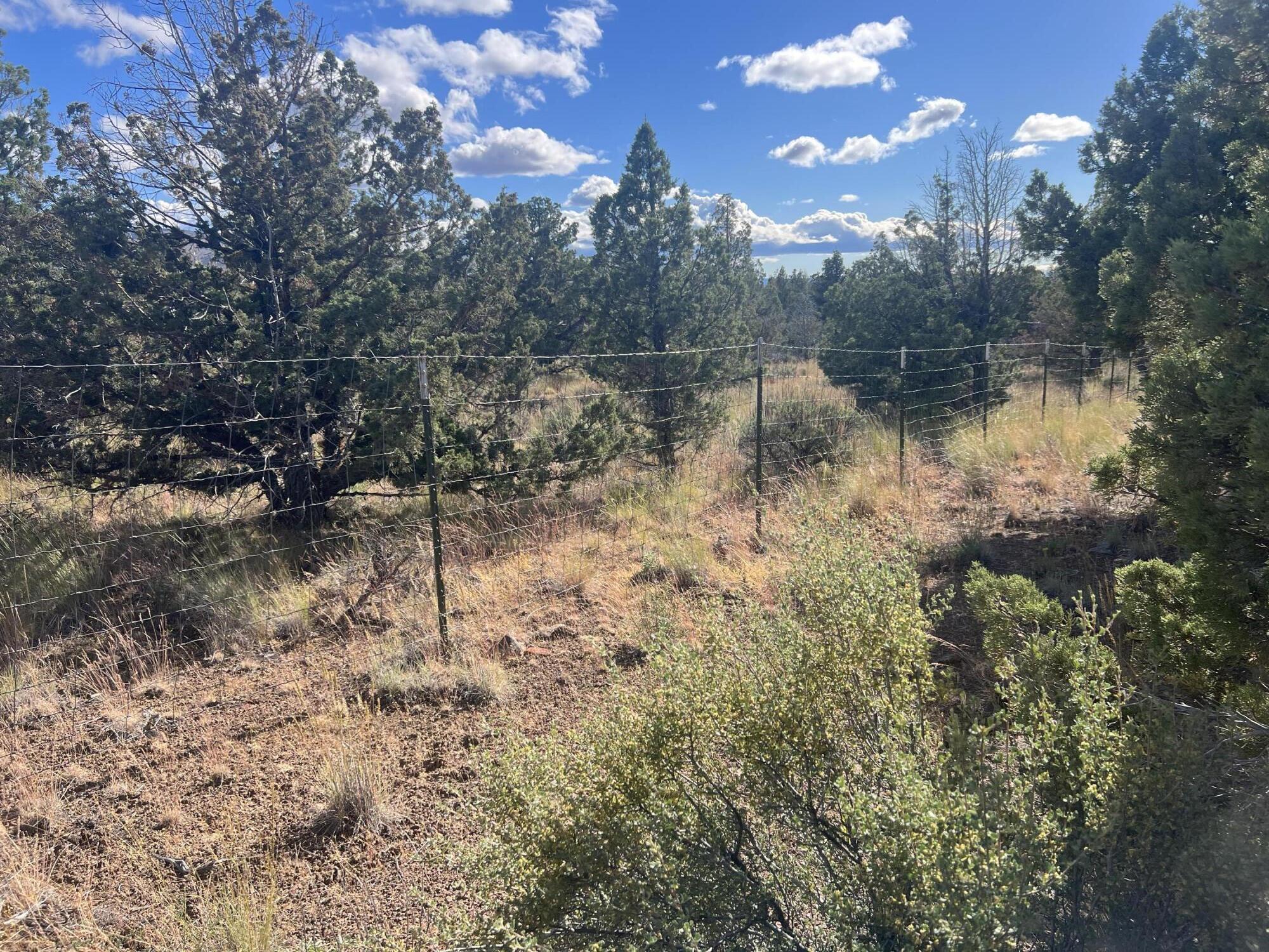 Juniper Acres - Land