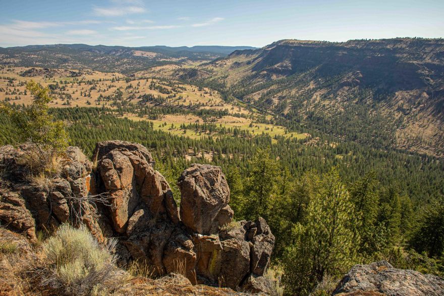 Dutch Flat Ranch West, in Northern Central Oregon, is a hunters haven! Home to large herds of mule deer, elk, antelope, wild turkey, chukar, cougar & coyote, just to name a few. Located south of Fossil, Oregon & just north of the John Day River, Dutch Flat Ranch is within the Fossil Hunting Unit, one of Eastern Oregon's most prestigious big game hunting units! With 5 mule deer buck and 5 Rocky Mountain bull elk L.O.P. tags (buyer to confirm with ODFW) you're sure to impress all your hunting buddies. The 8,207± acres of mostly contiguous acres consist of rangeland, timberland, mountain meadows, several creeks & springs. This ranch has several excellent locations to build your dream home or cabin (buyer to confirm with Wheeler County). Seller has recently added new electrical service at one of the original homestead sites, conveniently located off Rowe Creek Road. This ranch offers complete privacy, excellent big game hunting & endless recreational pursuits.