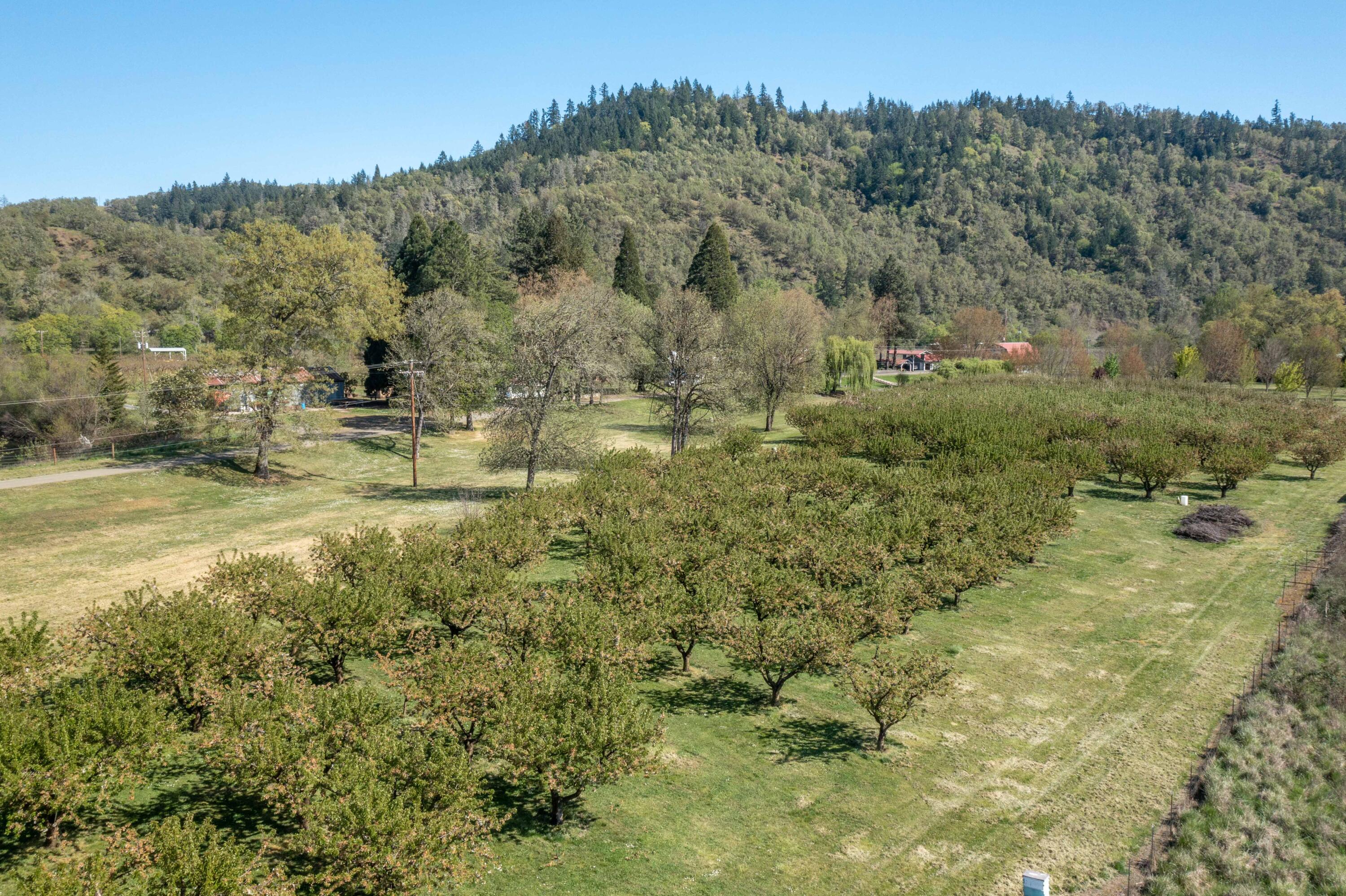 Civil Bend Orchard Tracts - Residential