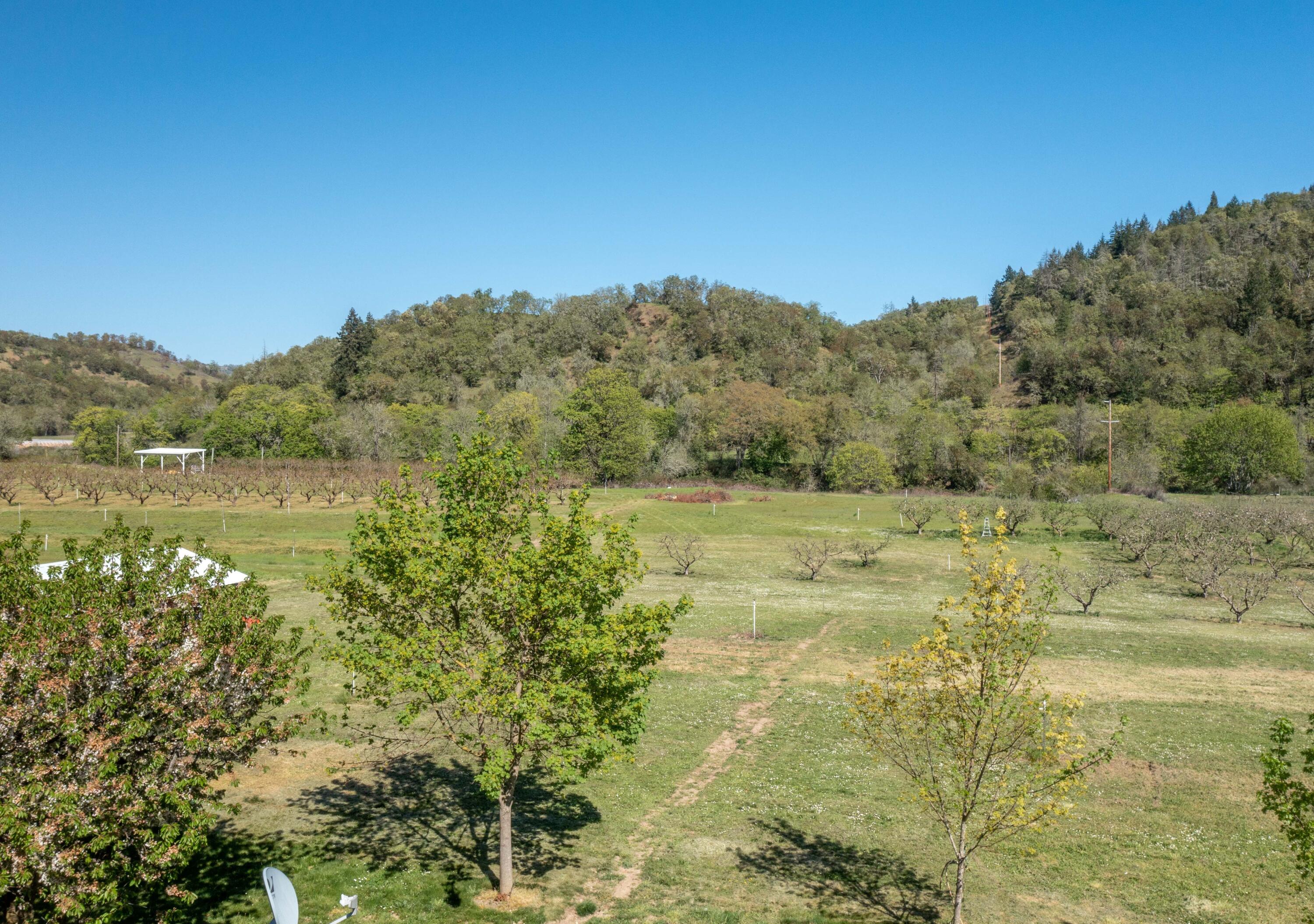 Civil Bend Orchard Tracts - Residential