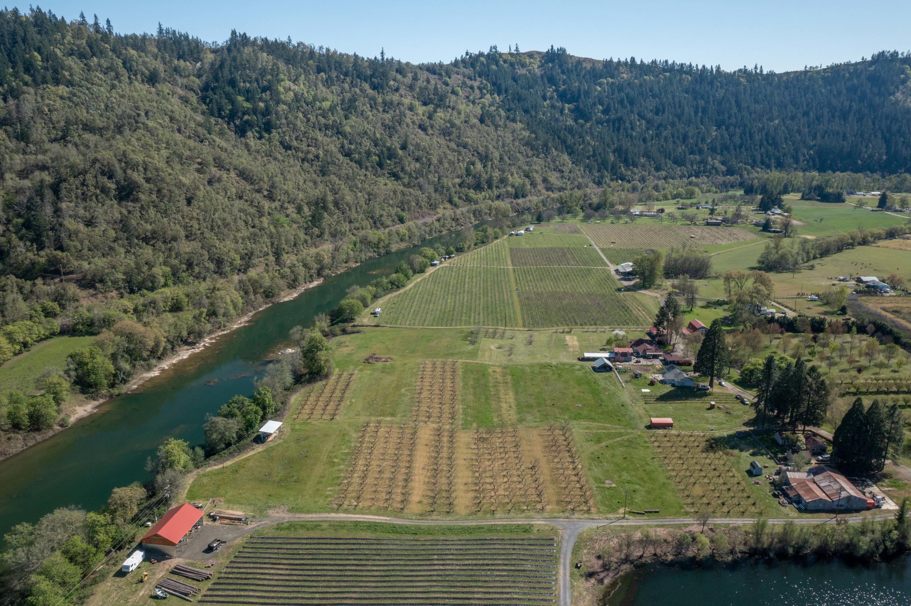 Civil Bend Orchard Tracts - Residential