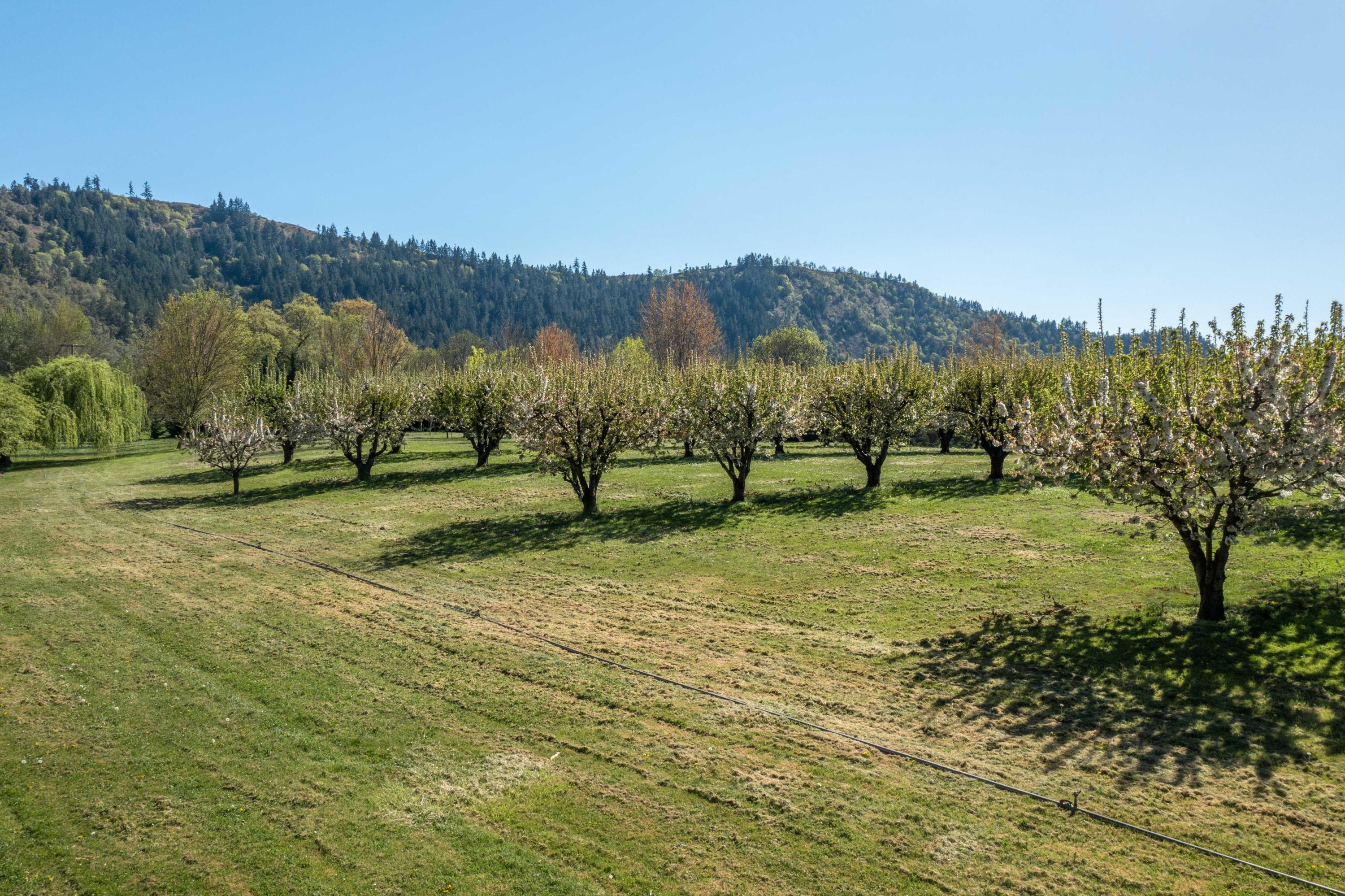Civil Bend Orchard Tracts - Residential