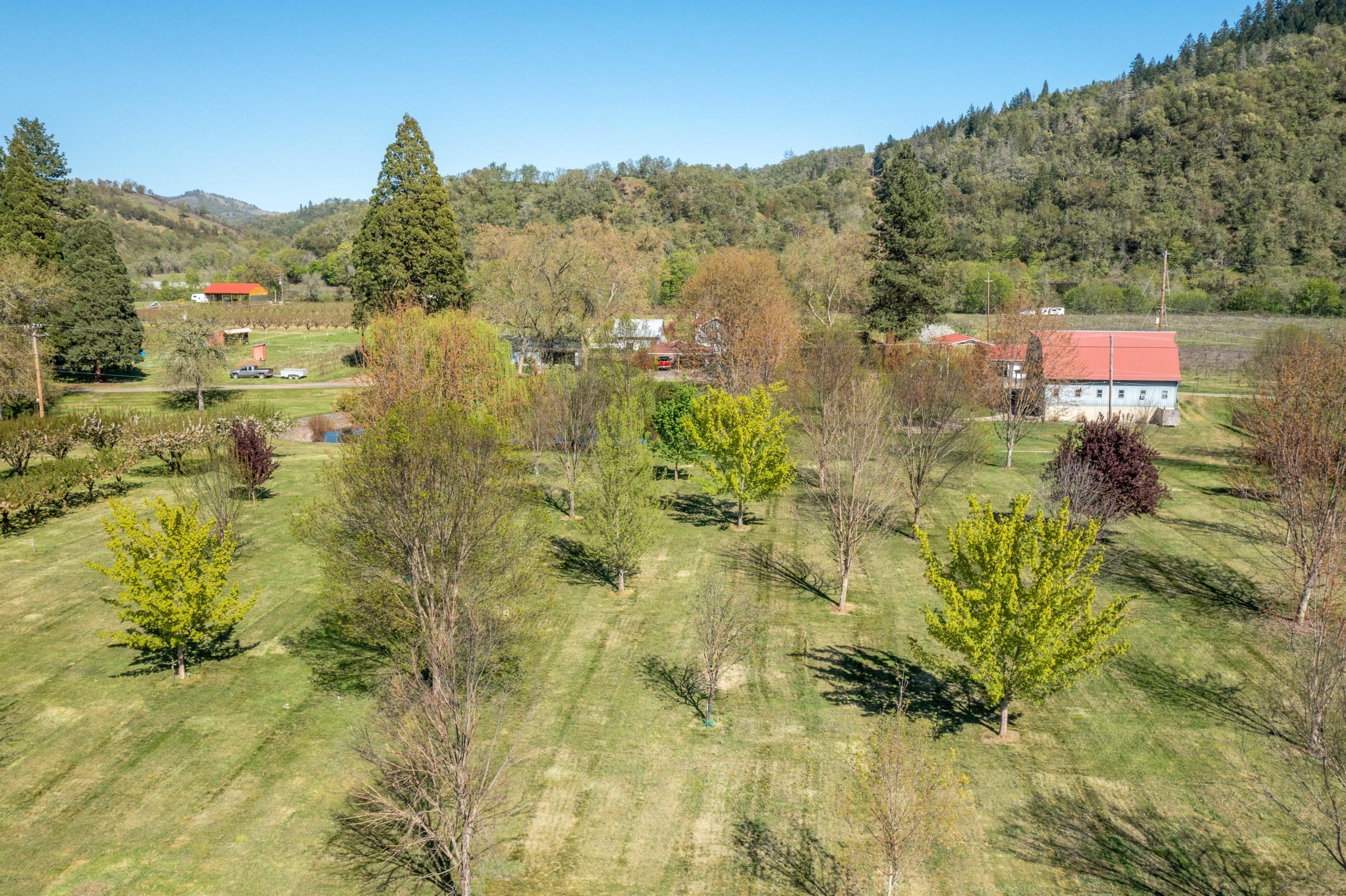 Civil Bend Orchard Tracts - Residential