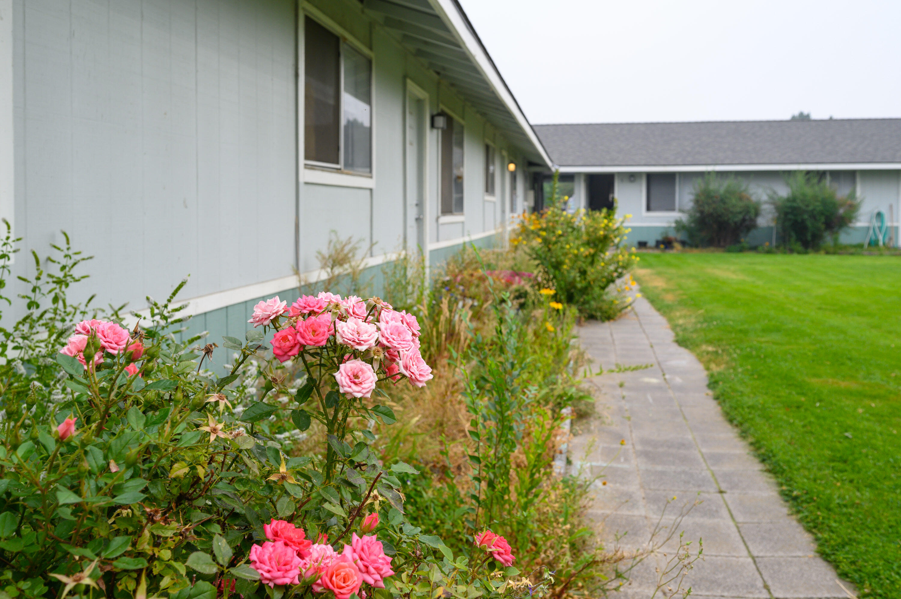 Lone Juniper Estates - Residential Income