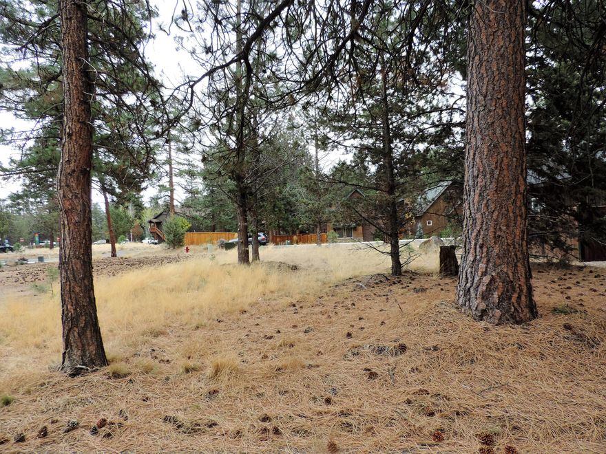 Come view a slice of Paradise. This lovely lot is located in a desirable new sub division close to downtown Sisters, including closer proximity to the Shibui Spa,
Sisters Athletic Club, 3 Creeks Brewing & the Sisters Movie House. You can also take the Whychus Trail downtown for even more entertainment, shopping and
dining. Enjoy the Ponderosa pines, and drive by to get a glimpse of the upscale cabin style homes that are already in place in the neighborhood. Plans for
homes that can be put on this lot are already available, or choose a builder of your own. The choices are endless. Enjoy all that this beautiful area we call
Central Oregon has to offer. Year-round recreation for hiking, skiing, biking, golfing, fishing, kayaking as well as the gorgeous Cascade mountains and lakes
that surround this area