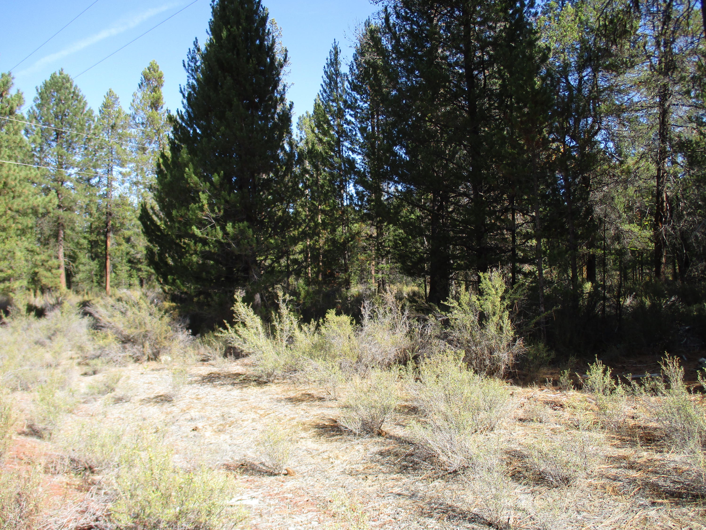 Sprague River Pines - Land