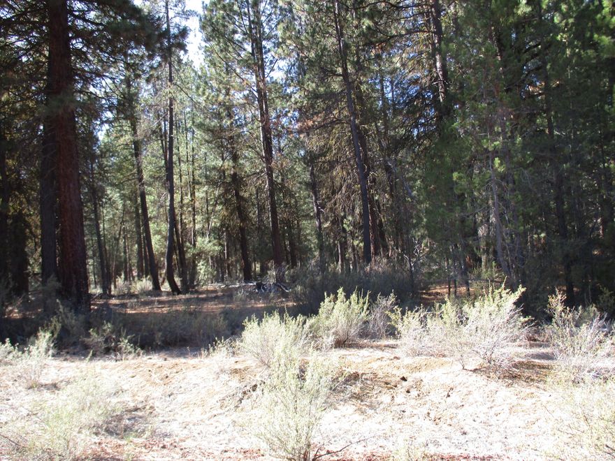 Two lots together which is 2 acres build your dream home .has power available.