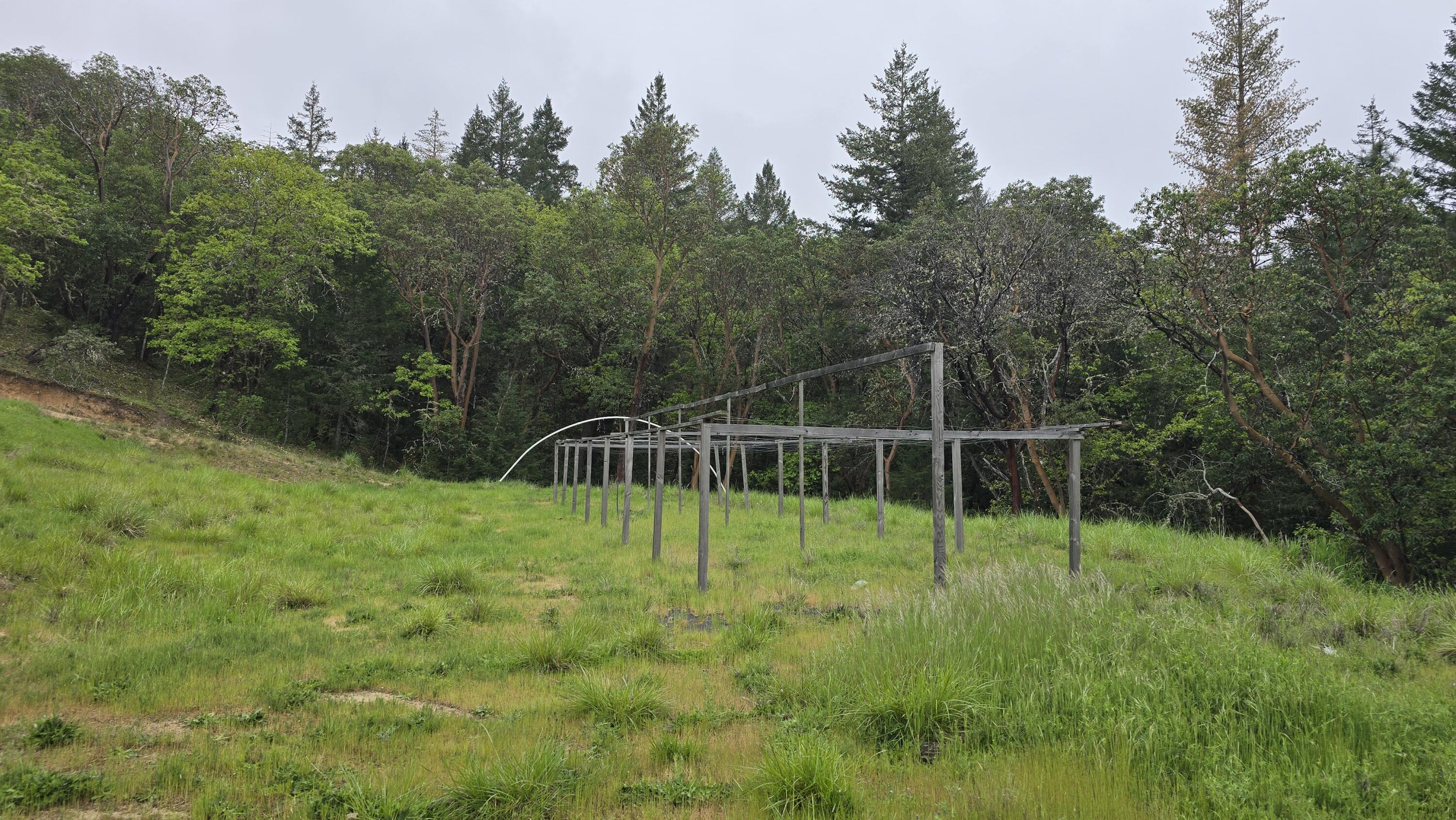 250 Melissa Lane