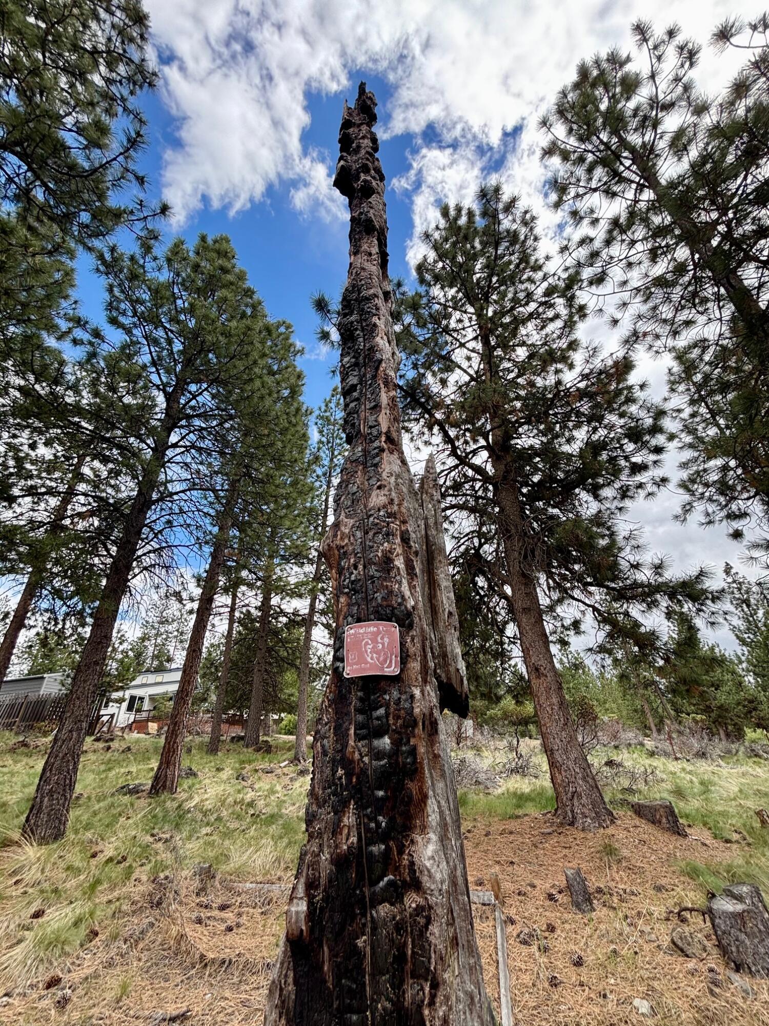 Deschutes RiverWoods - Residential