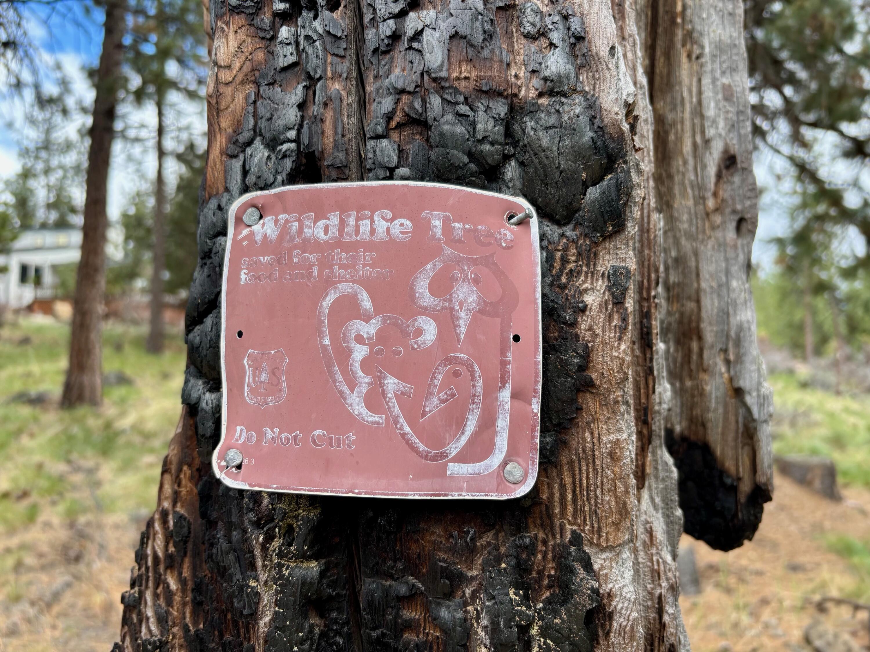 Deschutes RiverWoods - Residential