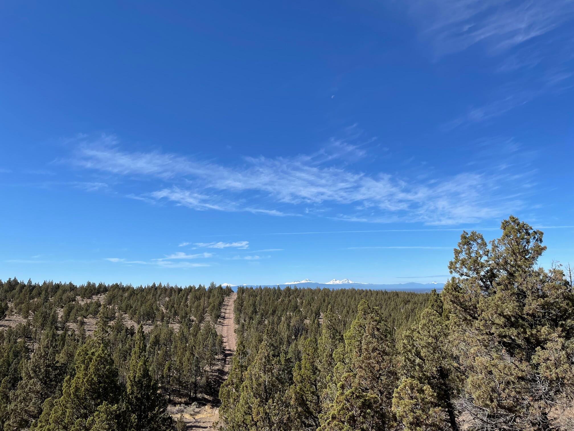 Juniper Acres - Land