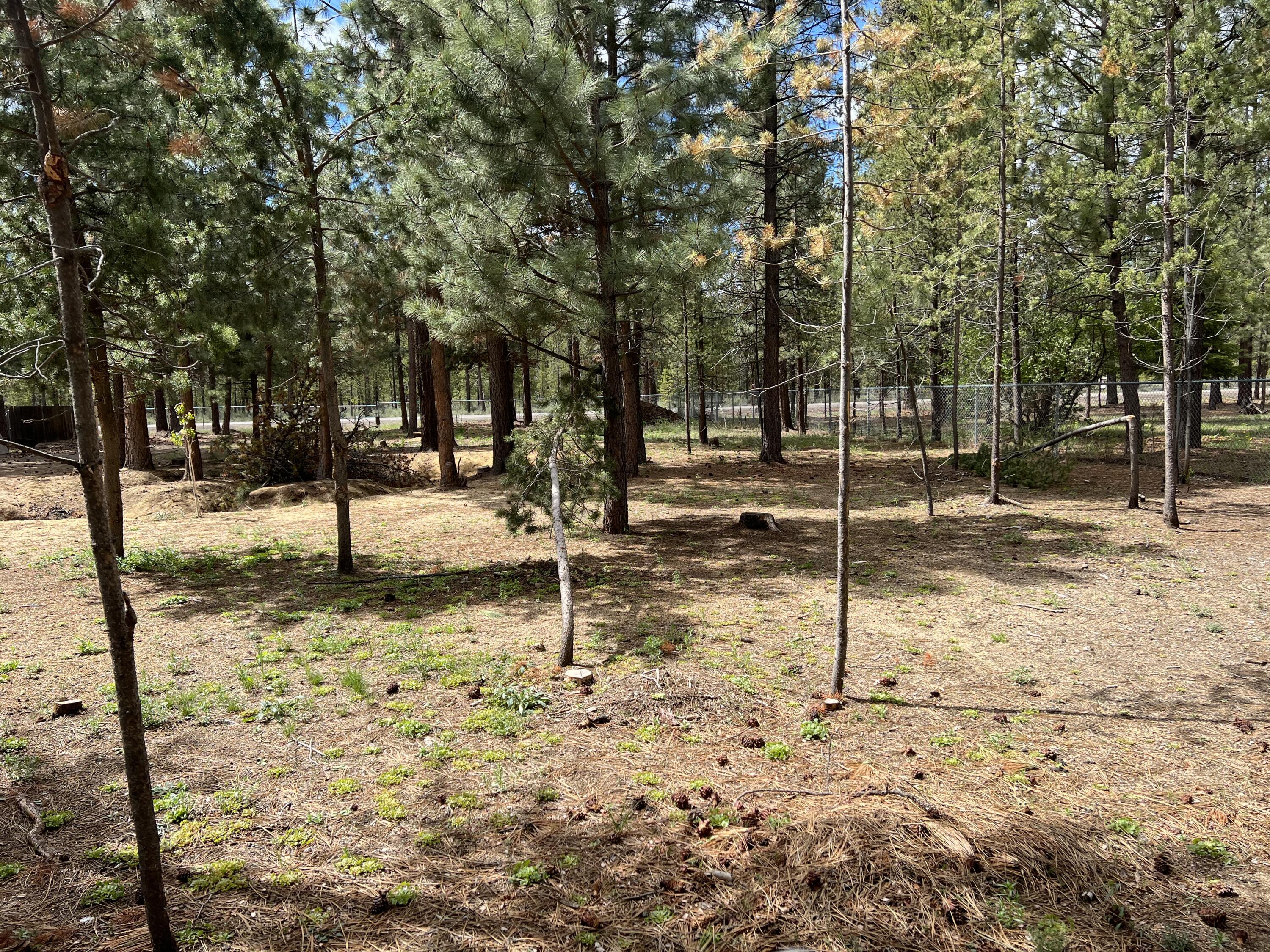 Deer Forest Acres - Residential