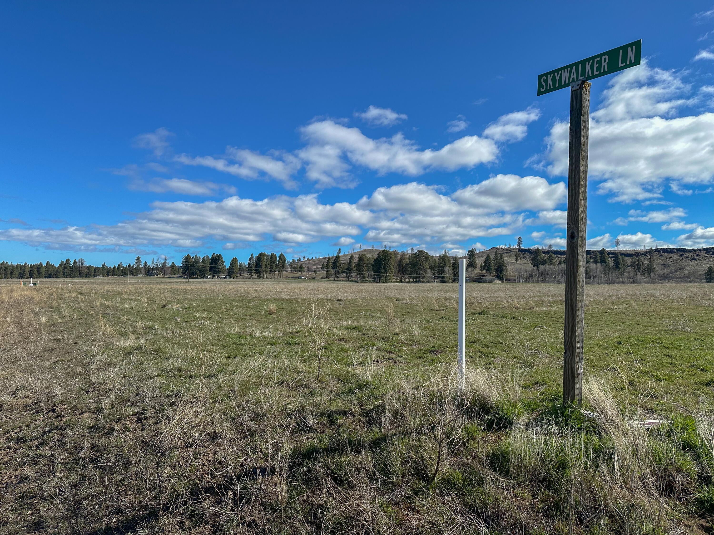 Agency Lake Ranches - Land