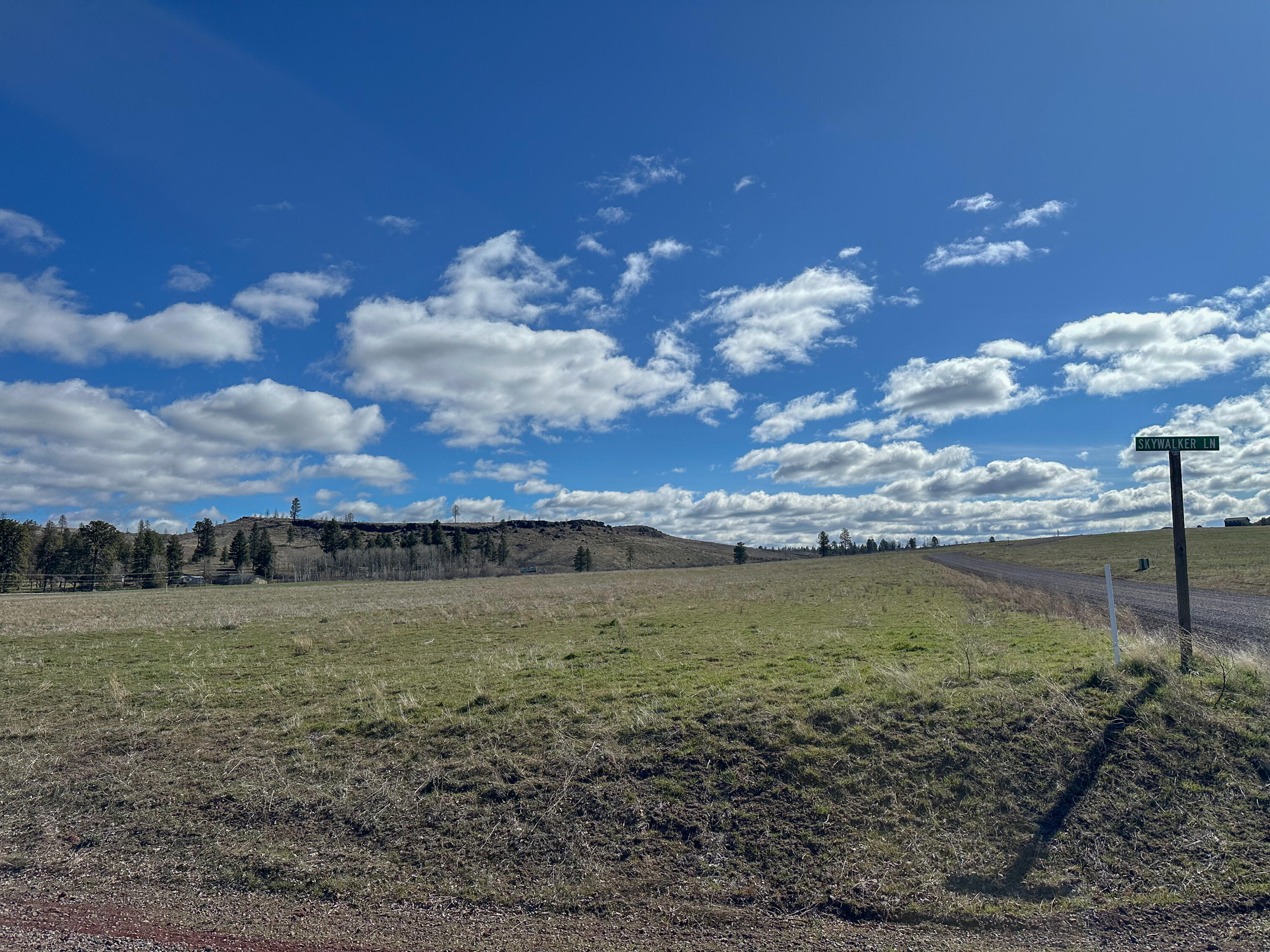 Agency Lake Ranches - Land