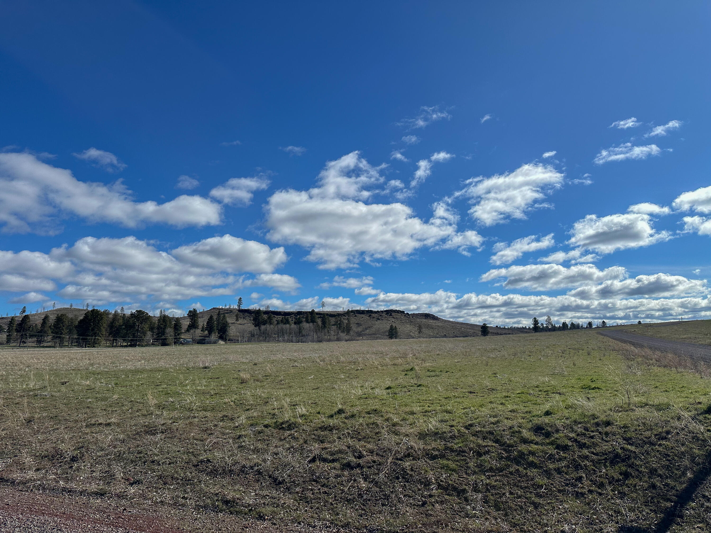 Agency Lake Ranches - Land