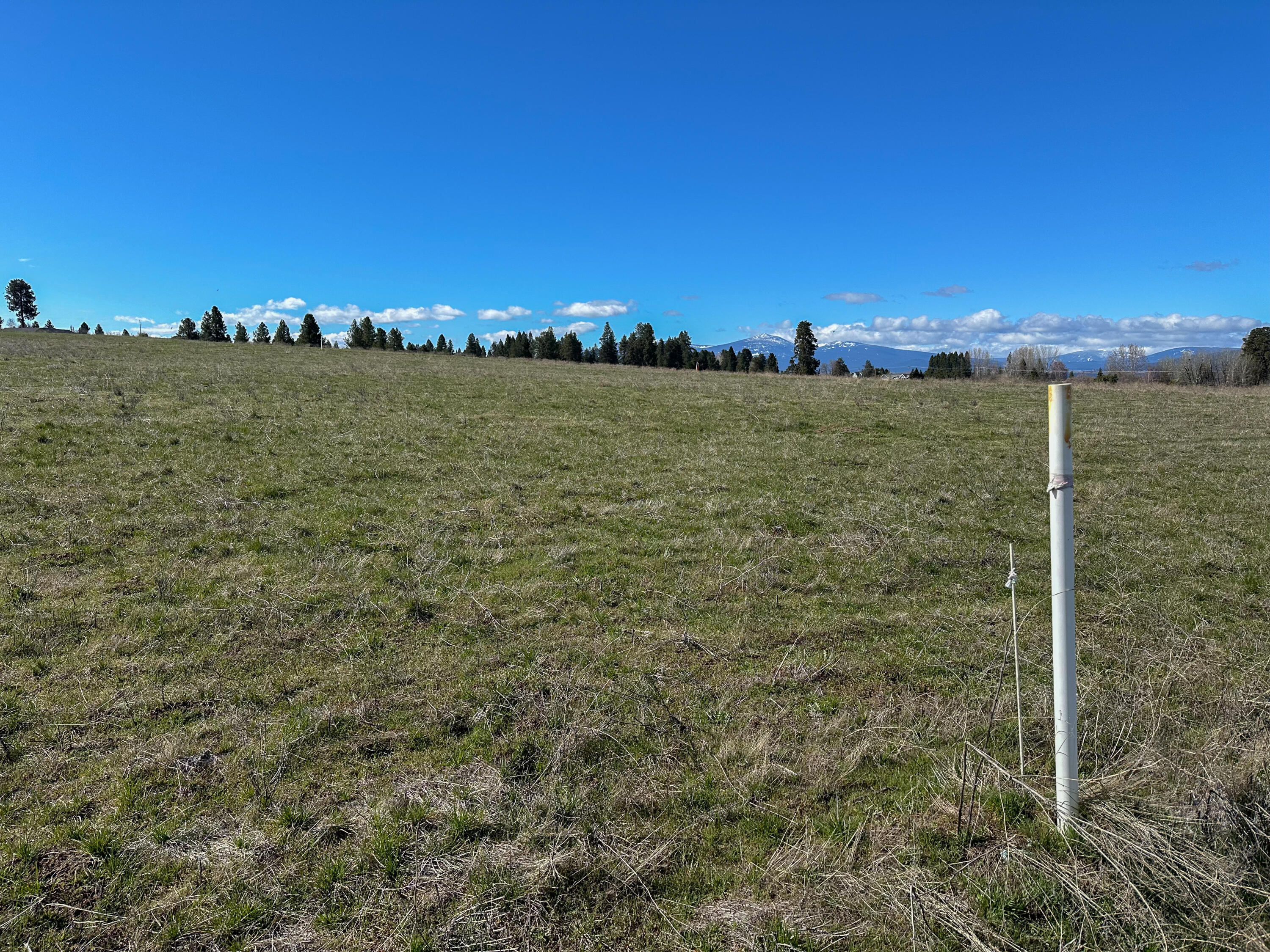 Agency Lake Ranches - Land