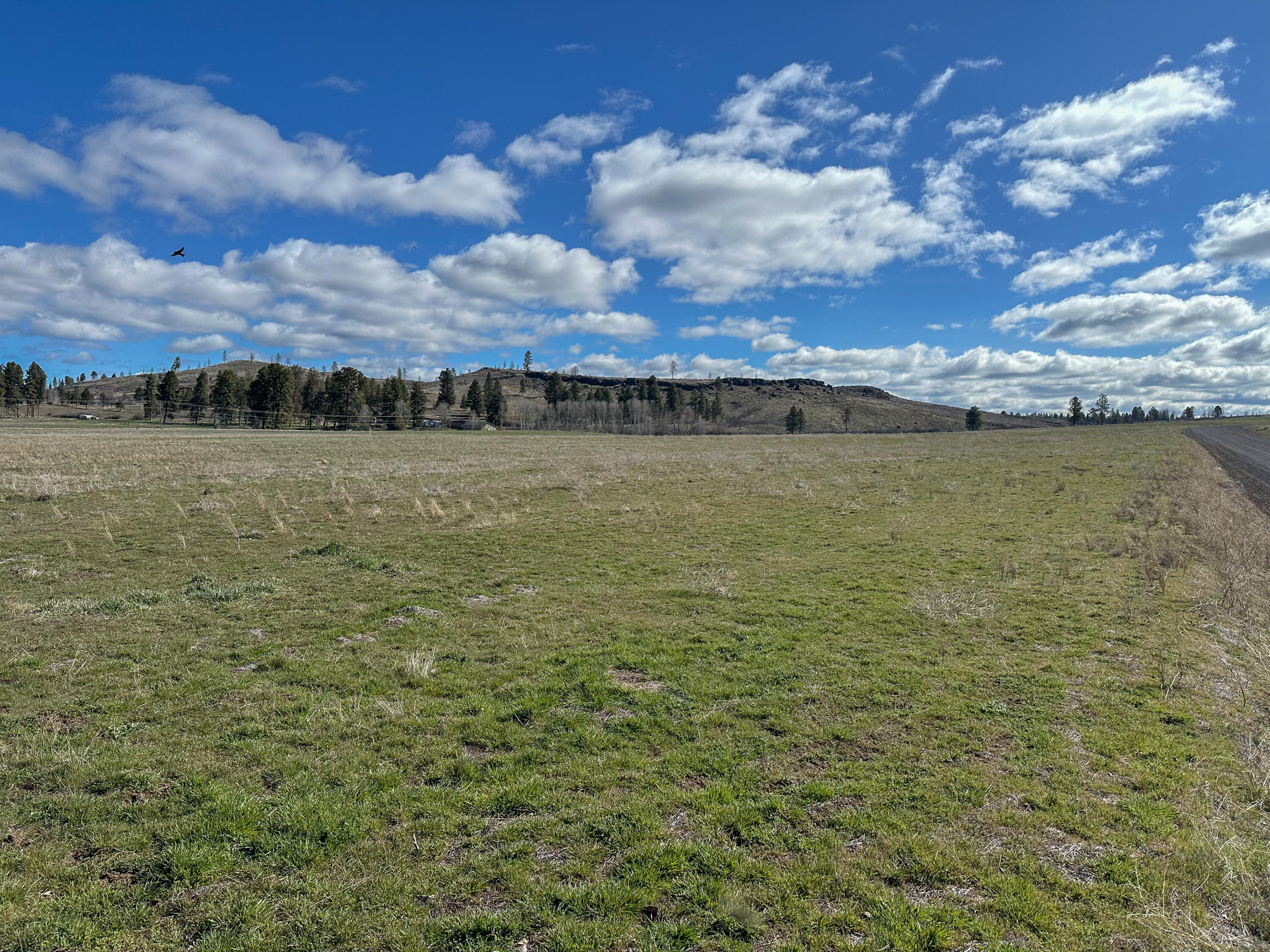 Agency Lake Ranches - Land