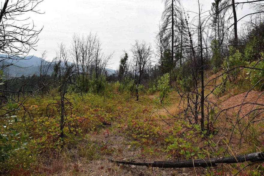 This 4.22acres parcel is Quiet and Serene. All Forest Views. Seller says it's recreational use but, do your own due diligence to see if there are any other possibilities.