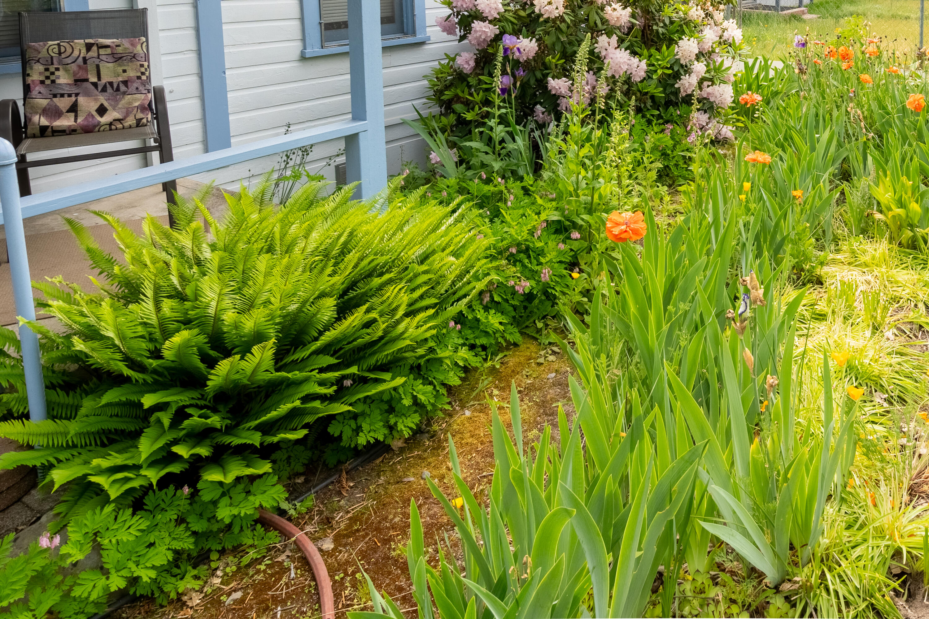 Grants Pass Original Townsite - Residential