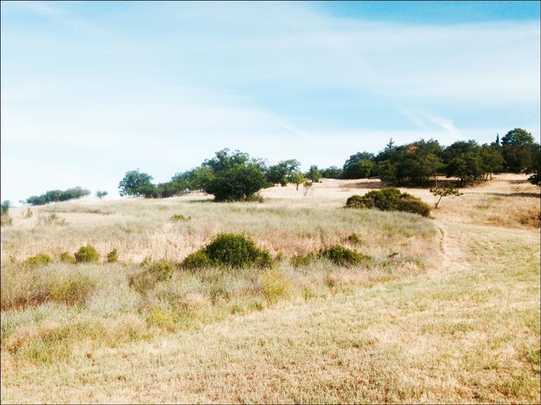 Sunset View Estates - Land