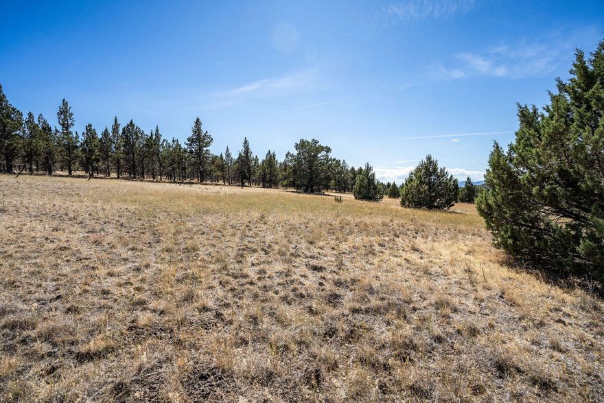 Discover the perfect blend of privacy and adventure with this 1.72-acre parcel just 10 minutes from Prineville Reservoir and the internationally recognized Dark Sky Park.
Bordering over 13,000 acres of BLM land, this mostly level lot offers direct access to endless outdoor recreation—right from your backyard. Whether you're ready to build
your dream home or create the ultimate weekend escape, this property gives you the freedom to do it your way. With no HOA, no CC&Rs, and power nearby, it's an open
canvas for your plans.