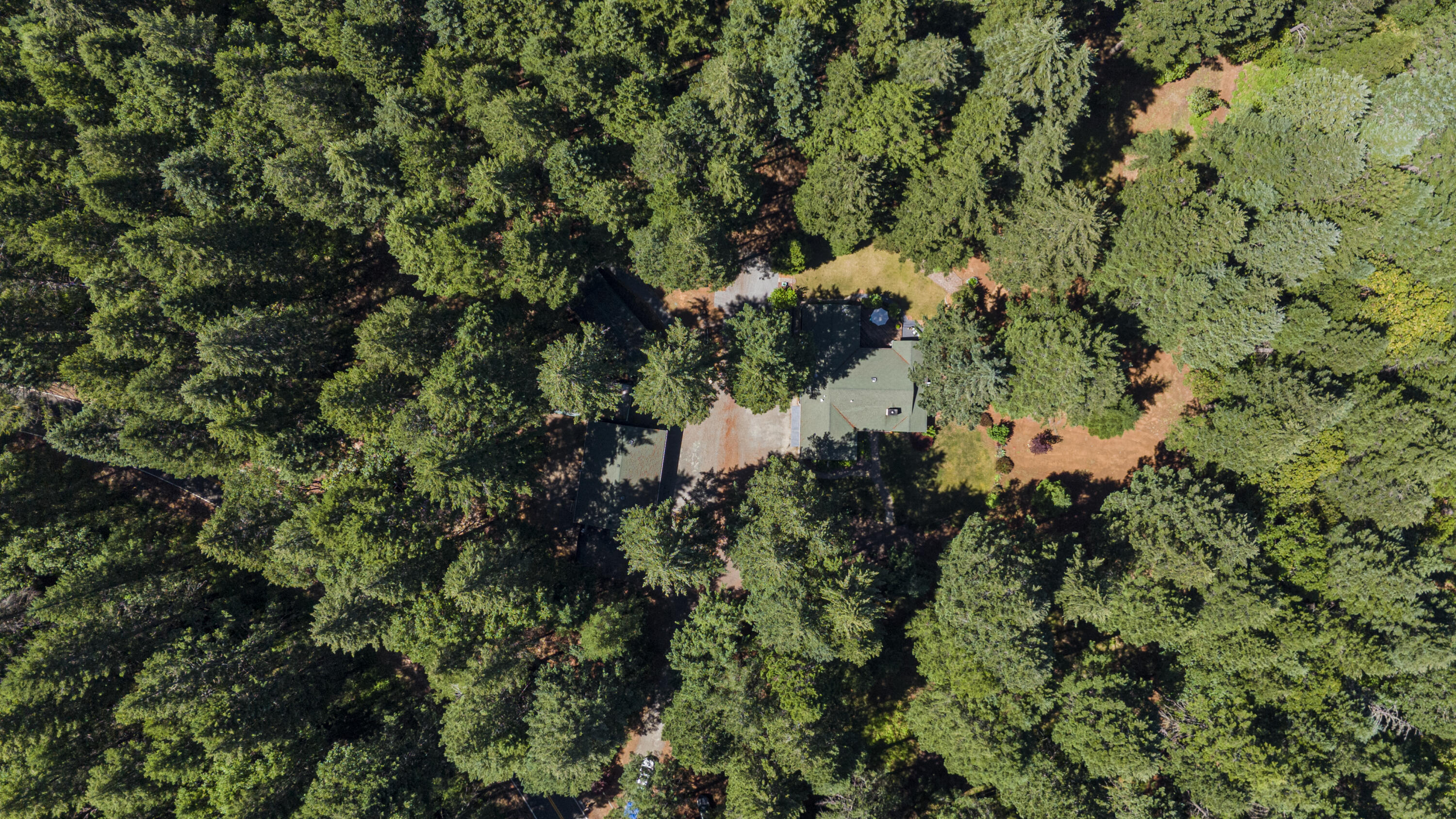 Idlewild Subdivision - Residential