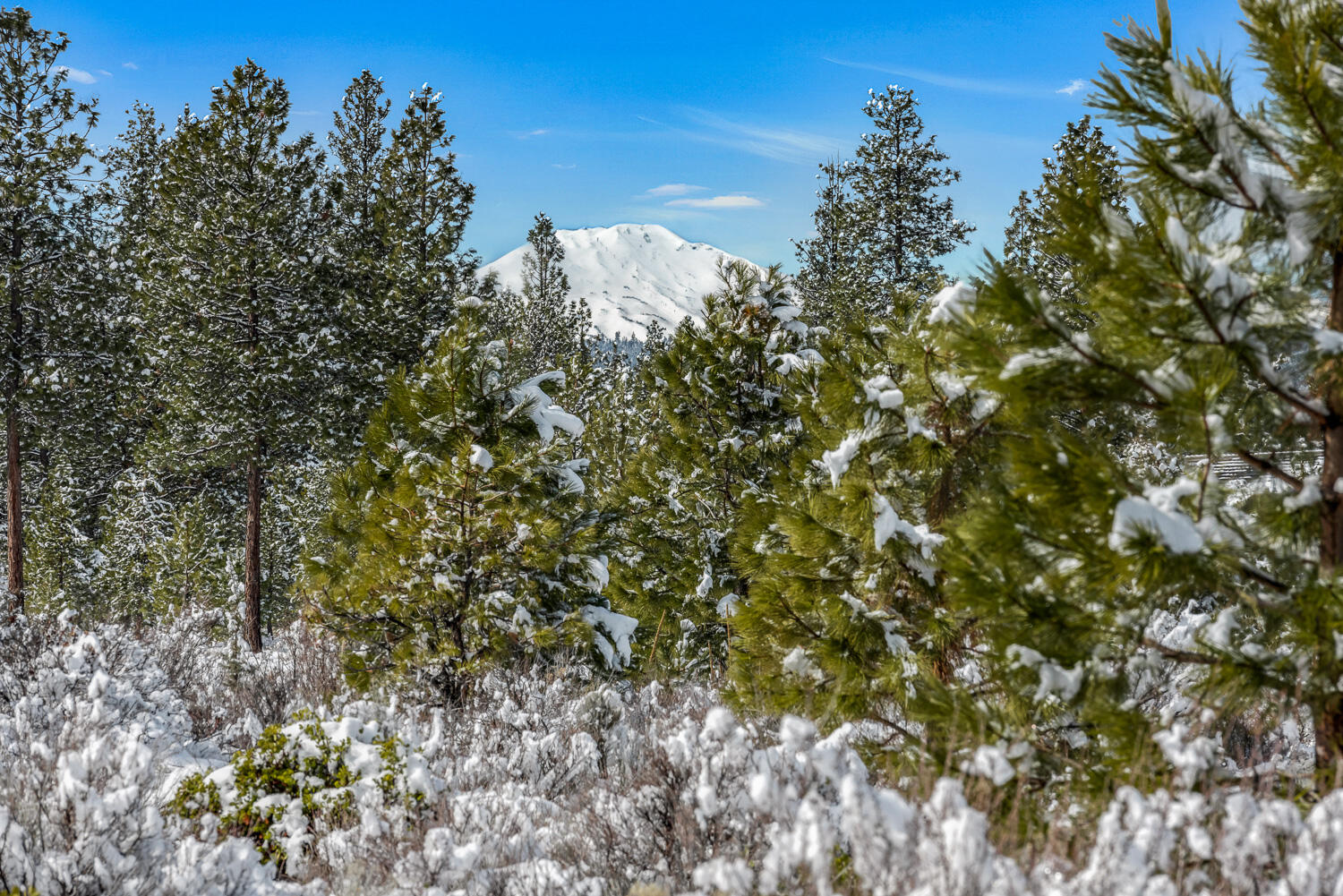 The Highlands at Broken Top - Land