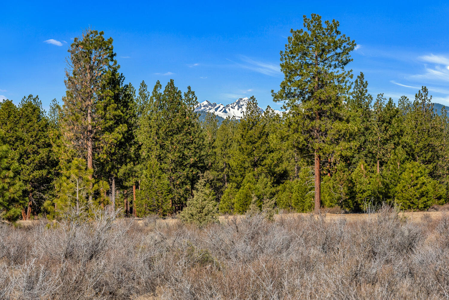 The Highlands at Broken Top - Land