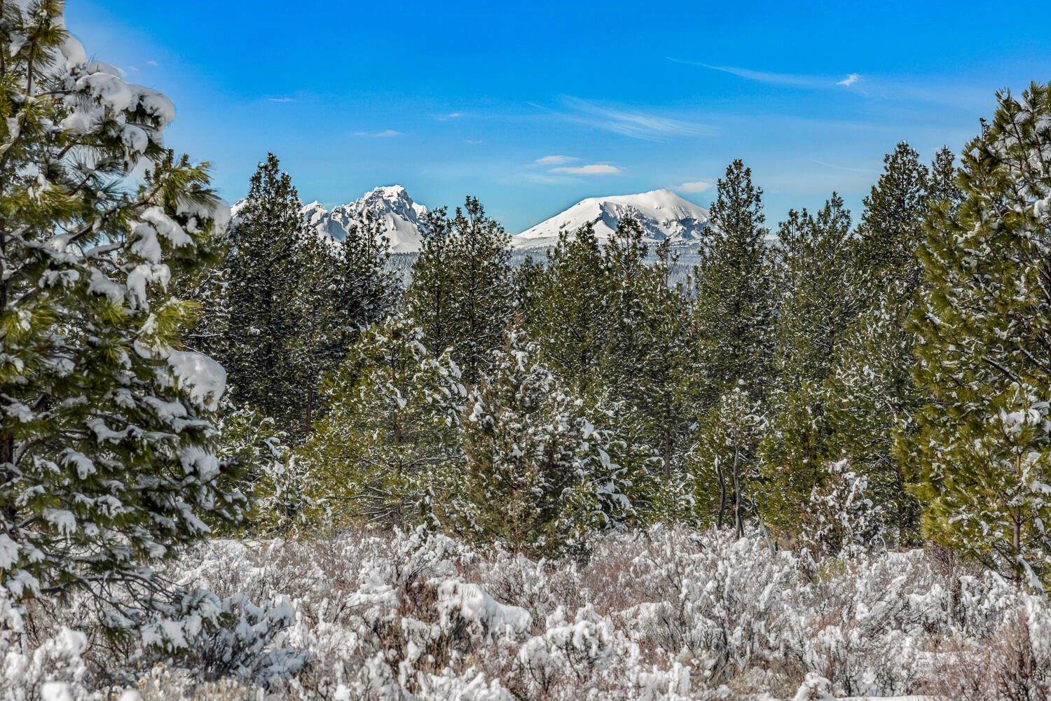 The Highlands at Broken Top - Land