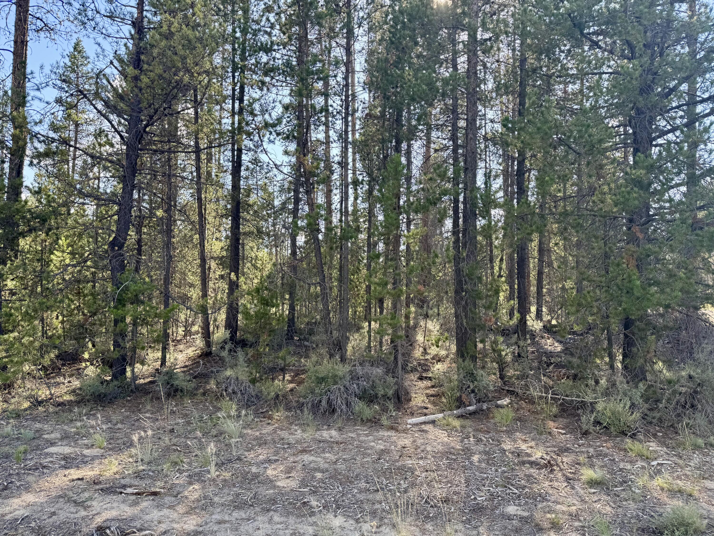 Antelope Meadows - Land