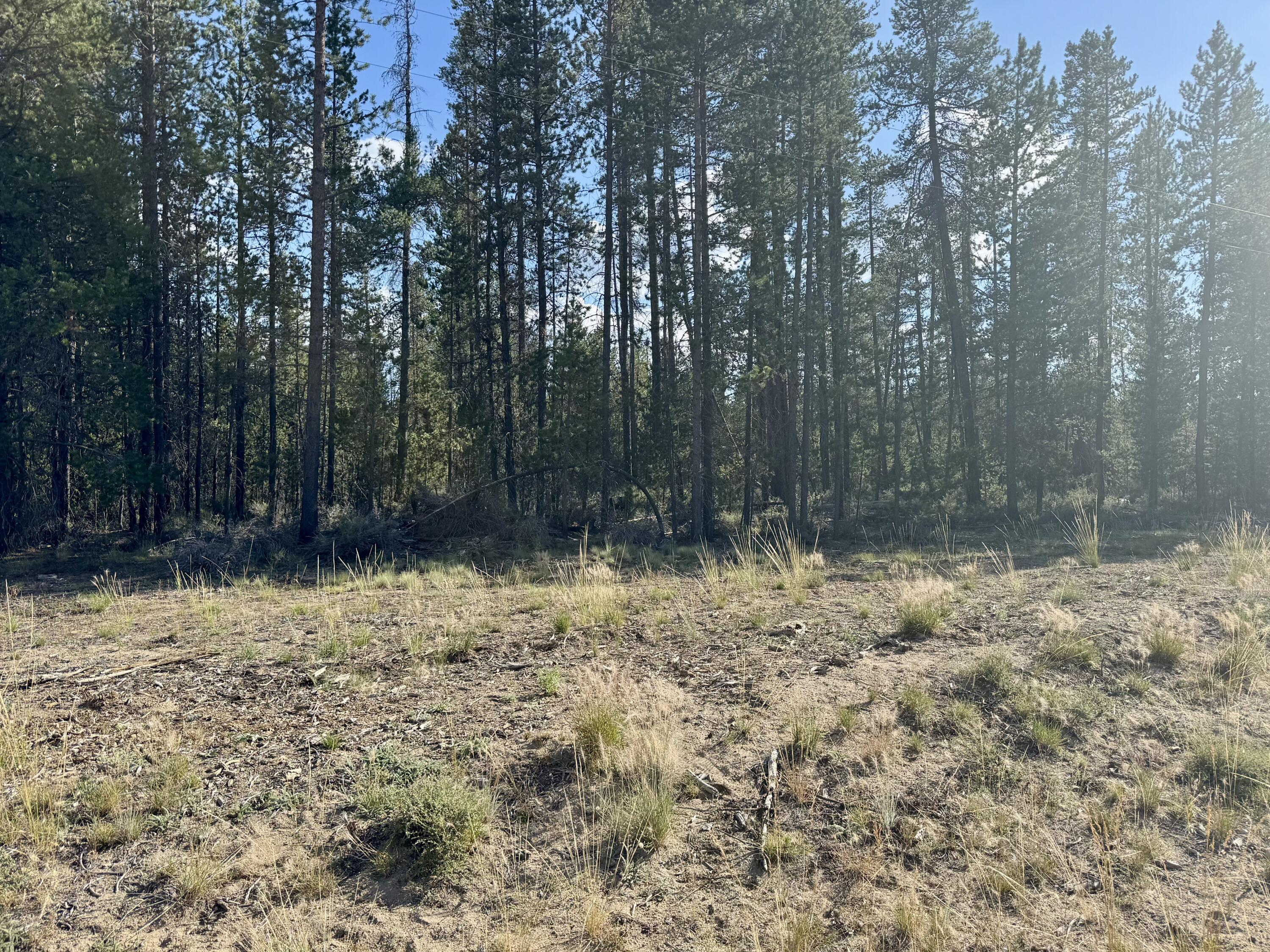 Antelope Meadows - Land