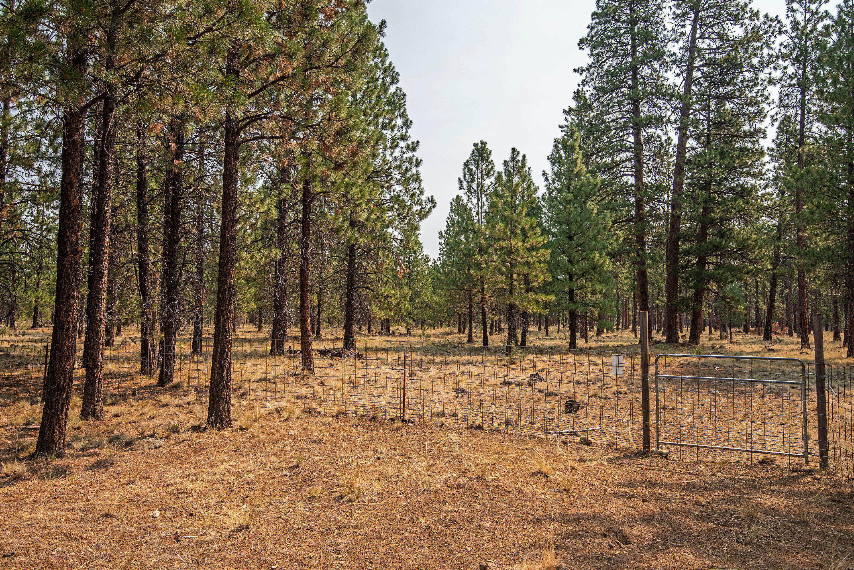 Crossroads - Residential