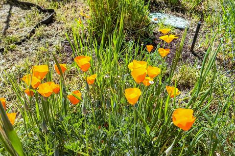 Tiny photo for 945 Hillview Drive, Ashland, OR 97520 (MLS # 220219499)