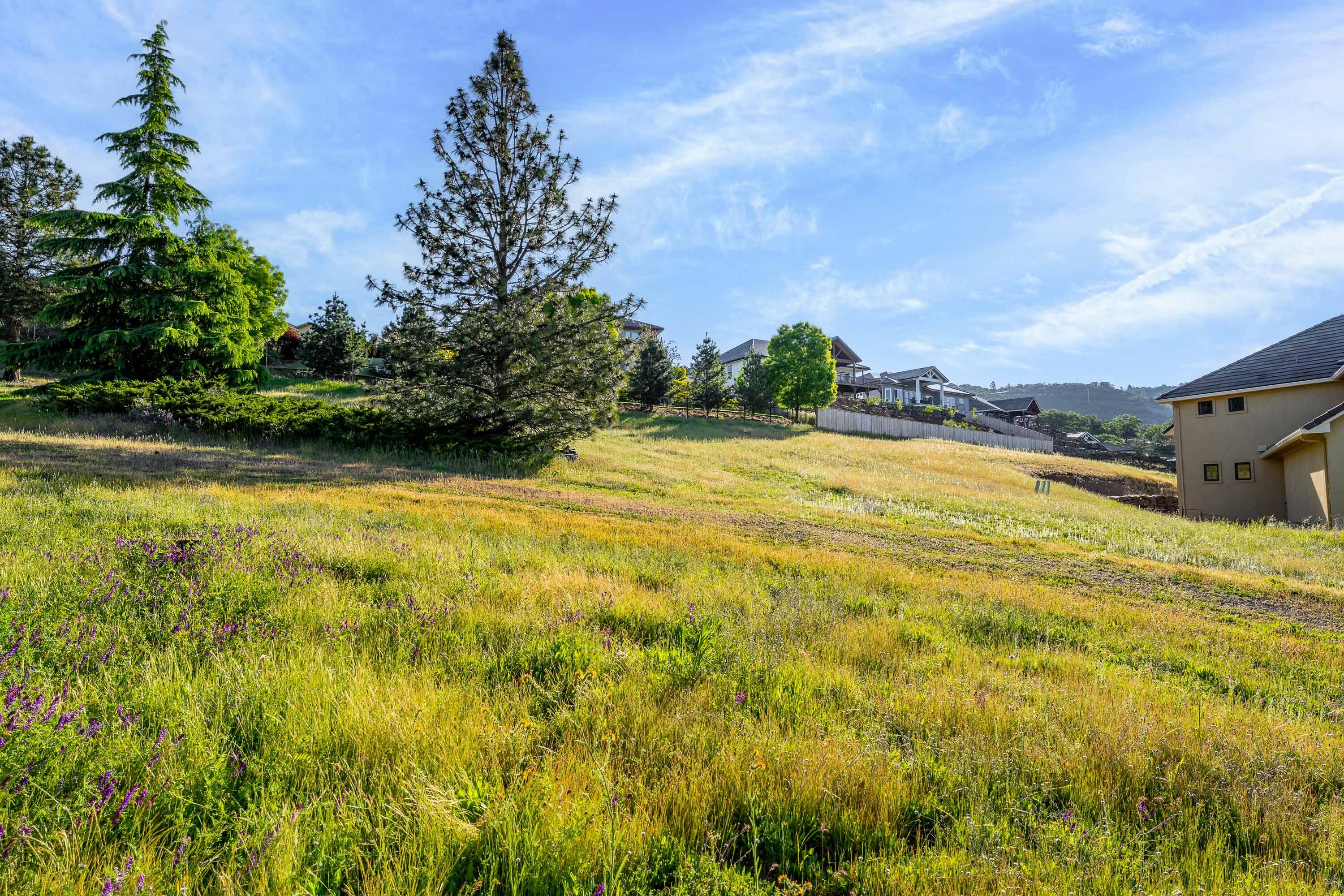 Saddle Ridge Subdivision Phase 2 - Land
