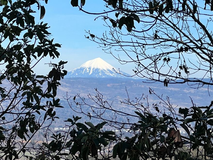 5 acres just outside of Jacksonville! Close to great Southern Oregon wineries. Great views of the City & Roxy Ann. Home site is approved. Bare land no well or septic. Buyer to do Due Diligence with regards to development. In an area of nice homes. Neighboring property is also listed for sale 2083 Knowles Rd.