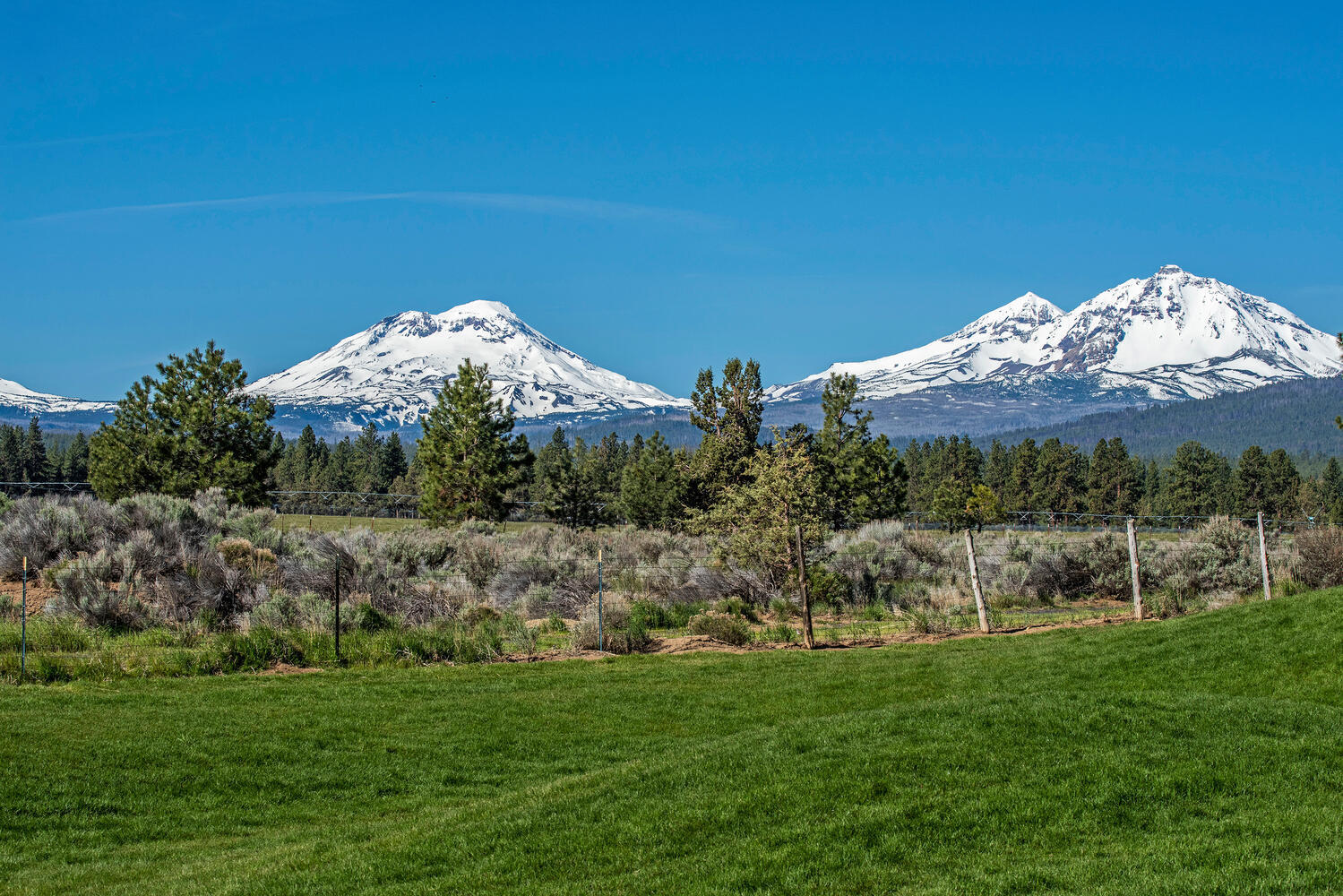 Pine Meadow Vill - Residential