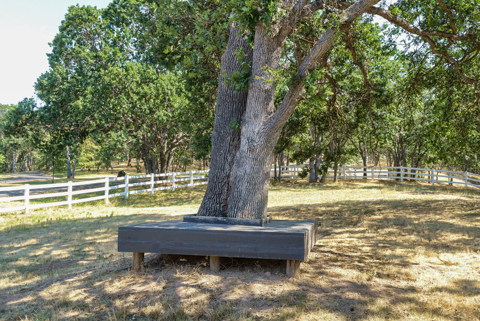 Sunny Oaks Subdivision - Residential