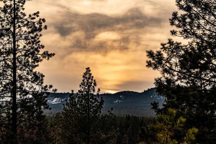 Discover a place where you can unwind, relax, and revel in serene unspoiled High Desert wilderness! Bask in over 300-days of Central Oregon sunshine while you take in the awe-inspiring mountain views from this remarkable homesite in the highly coveted neighborhood of The Tree Farm, a special community just West of Bend's city limits, offering fifty 2-acre homesites and hundreds of acres of open space. Situated among majestic pine trees this slightly elevated, sunny homesite offers panoramic mountain views and backs to common space on the northern and eastern border. A serene retreat where birds soar overhead, the deer roam, and the city seems far away. Adjacent to National Forest Lands with easy access to Shevlin Park and Phil's Trail, and minutes from downtown Bend, dining, shopping, and word class outdoor adventure, this gorgeous parcel offers tranquility and privacy, yet is very accessible. Create your Central Oregon legacy!