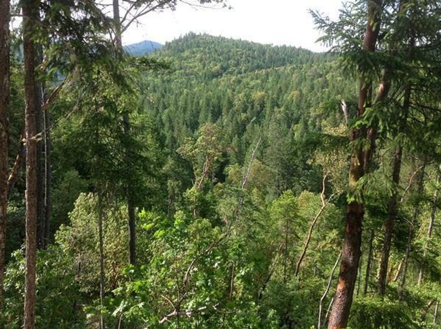 160 acres of prime hunting ground with BLM access. The property is located in Southern Oregon north of Grants Pass in an area popular for deer and elk hunting. The property has a mix of hardwood and Conifer trees with Lozier Creek running through it. The Rogue River, known for its salmon and steelhead fishing, jet boat excursions and rafting, is just minutes away.
