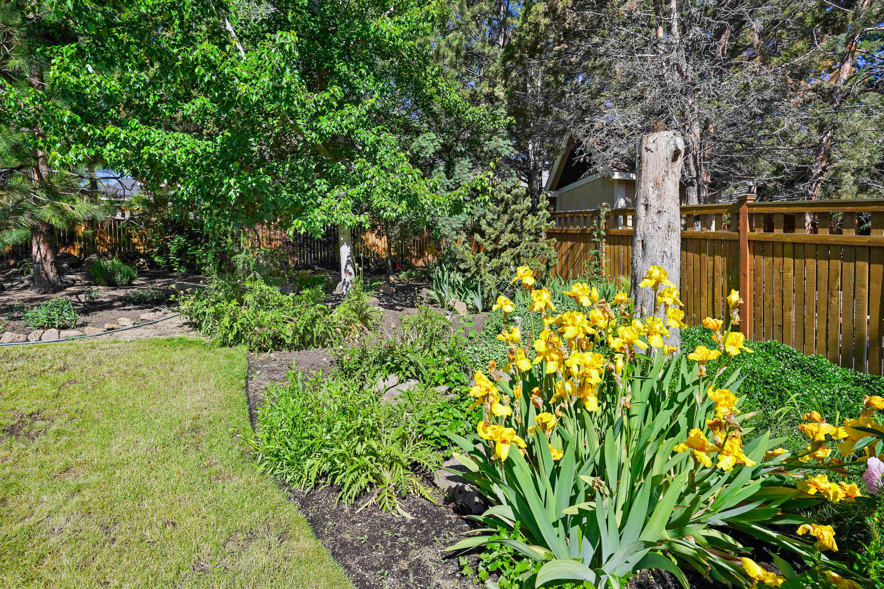 Hawks Ridge - Residential