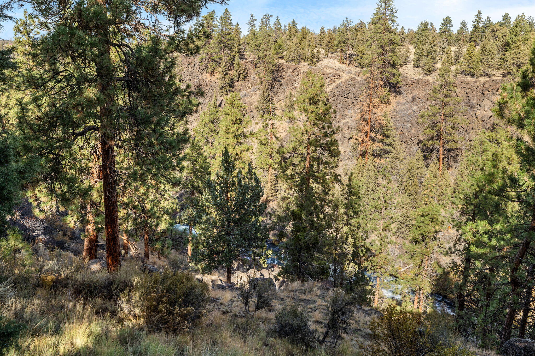 Awbrey Meadows - Residential