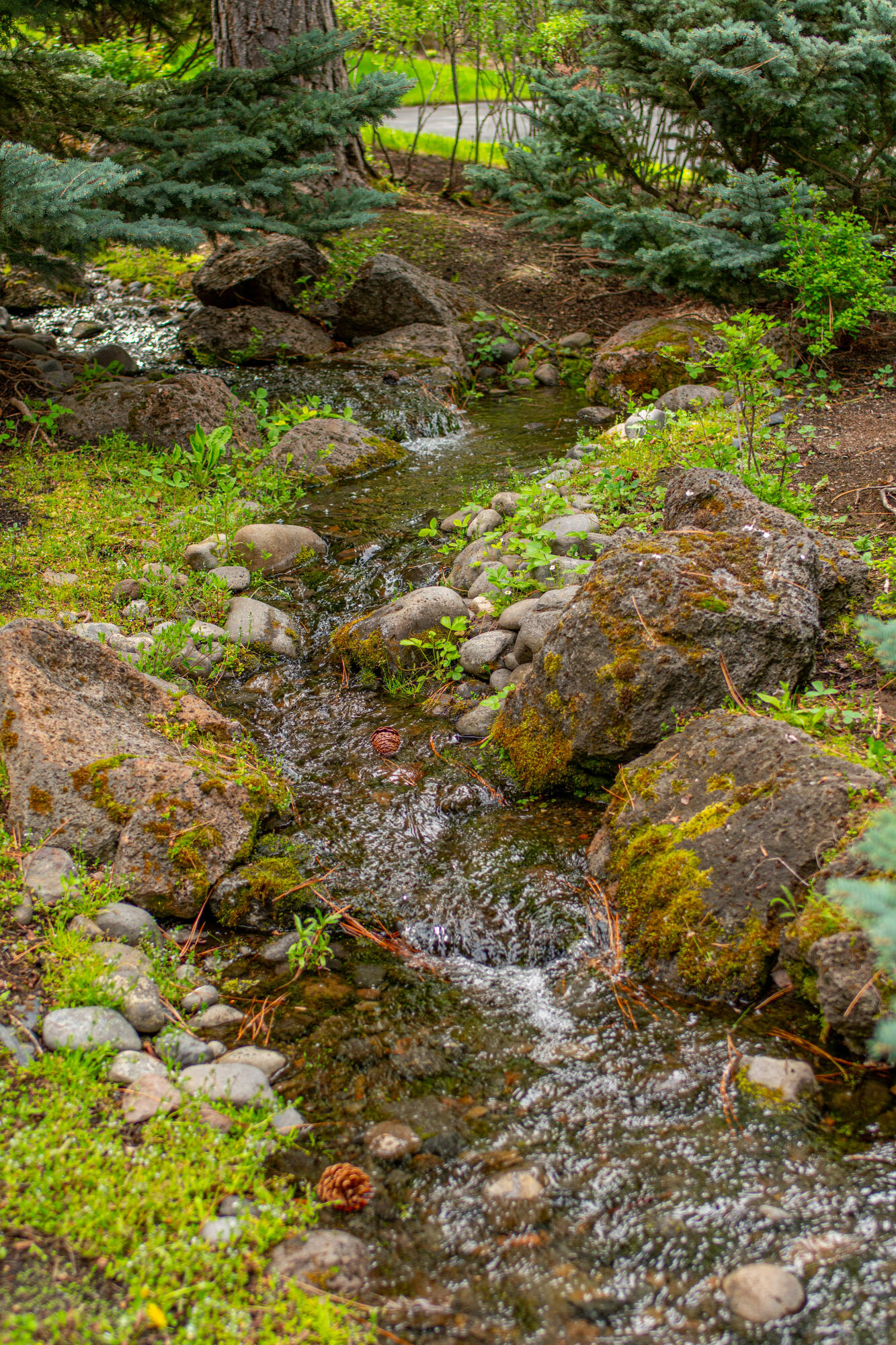 Vandevert Ranch - Residential