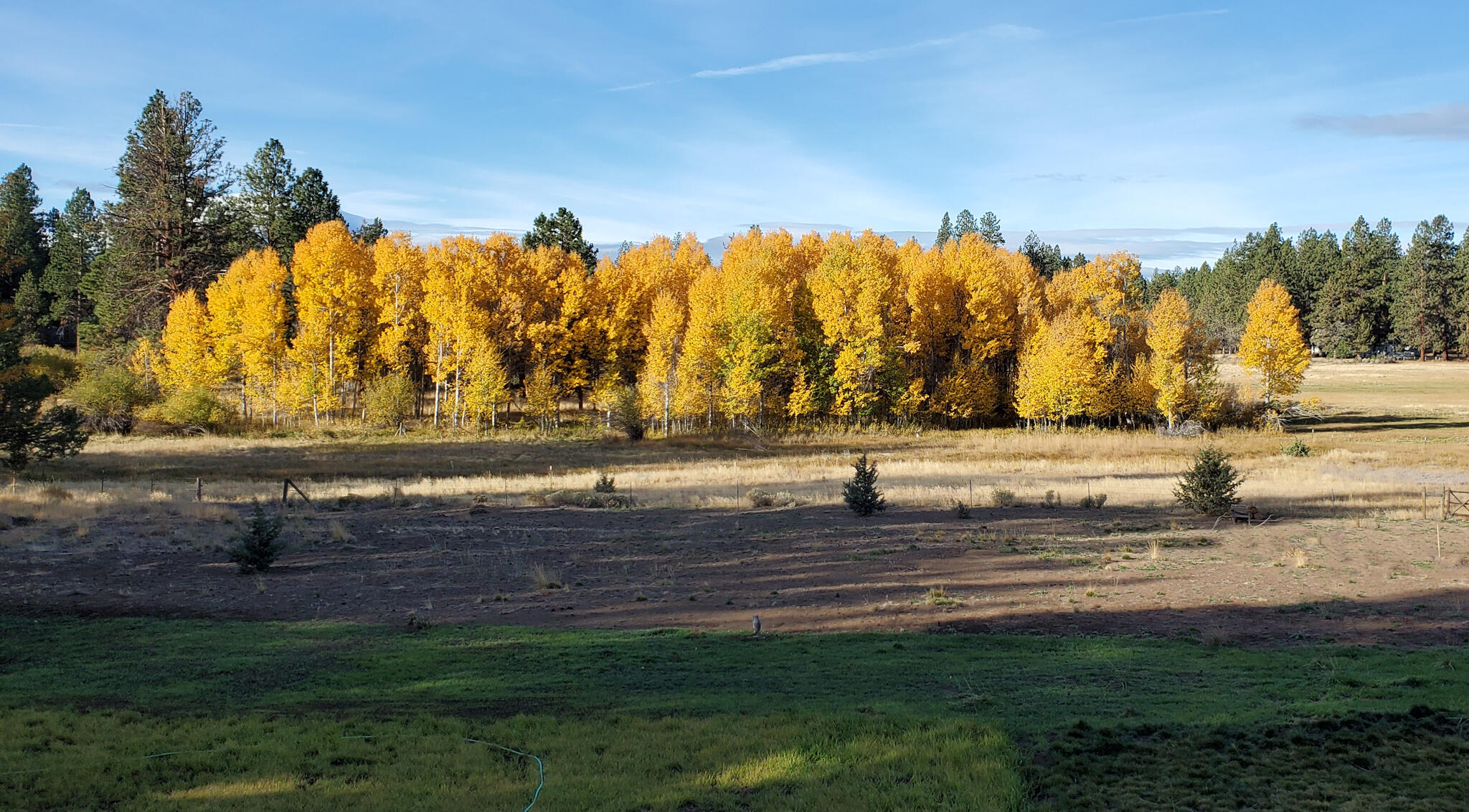 Indian Ford Ranch - Residential