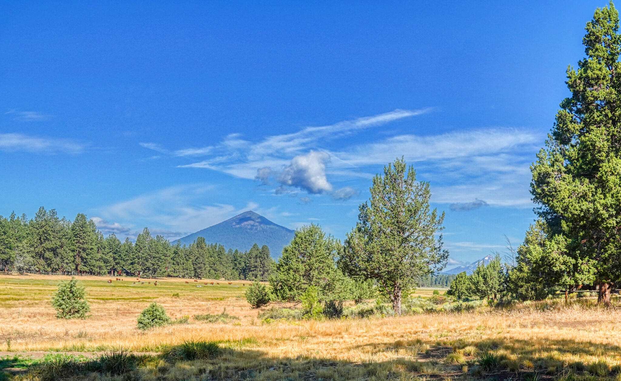Indian Ford Ranch - Residential