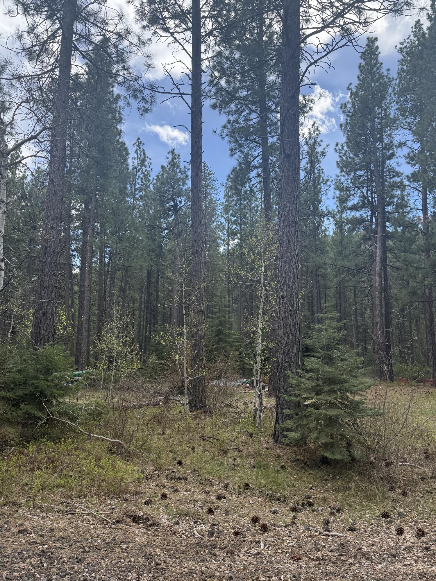 0 N Street 3606-010CB-05200