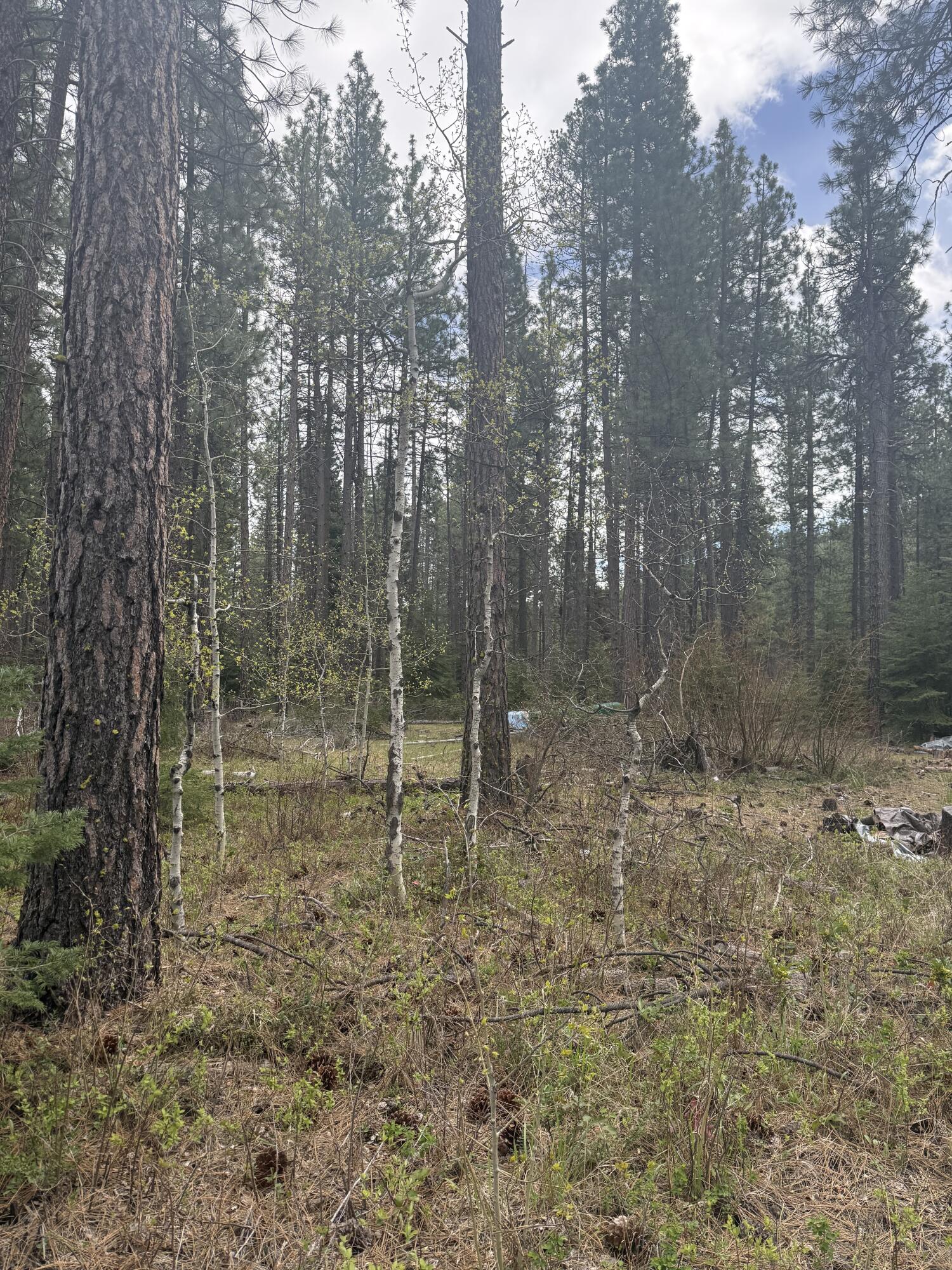 0 N Street 3606-010CB-05200